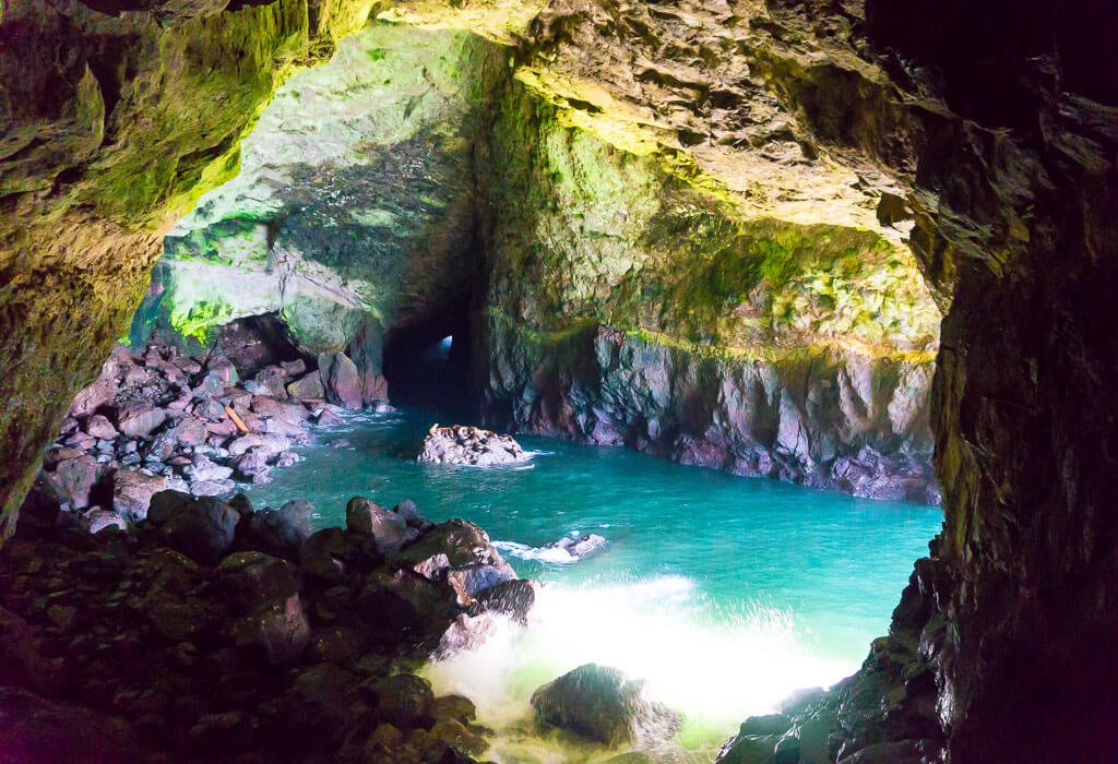 Sea Lion Cave in Oregon
