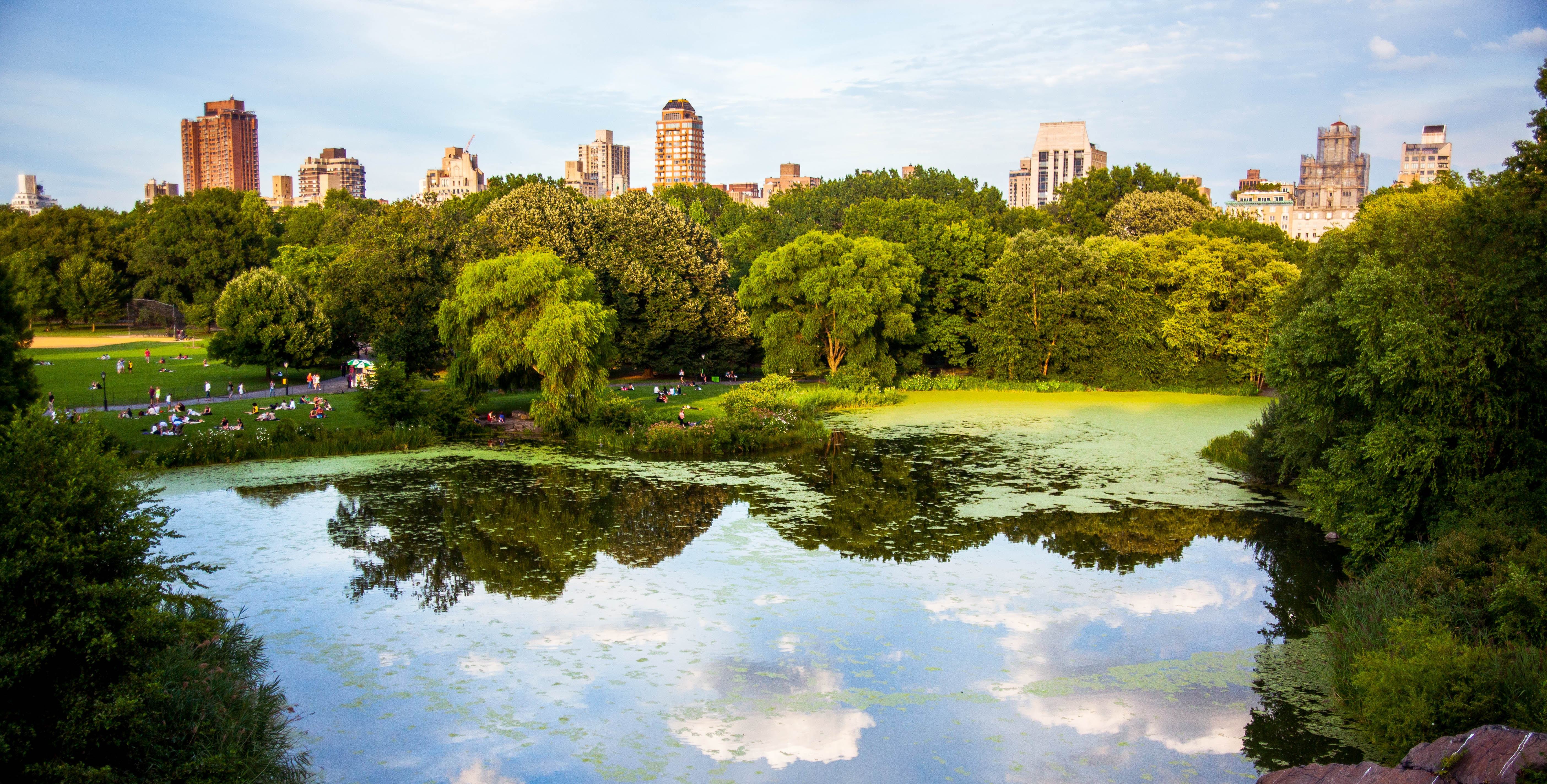 beste reistijd new york