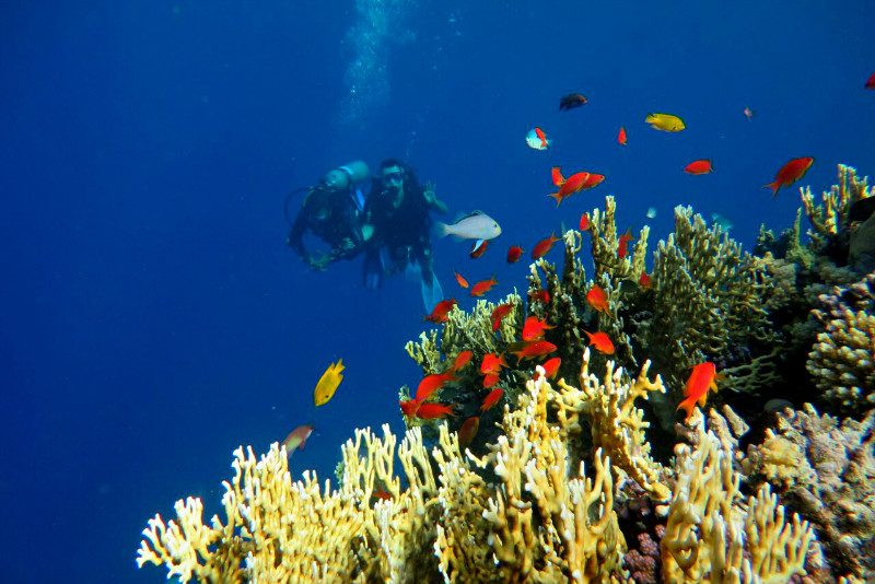 Serenity Makadi Beach Resort strandvakantie Egypte Rode Zee