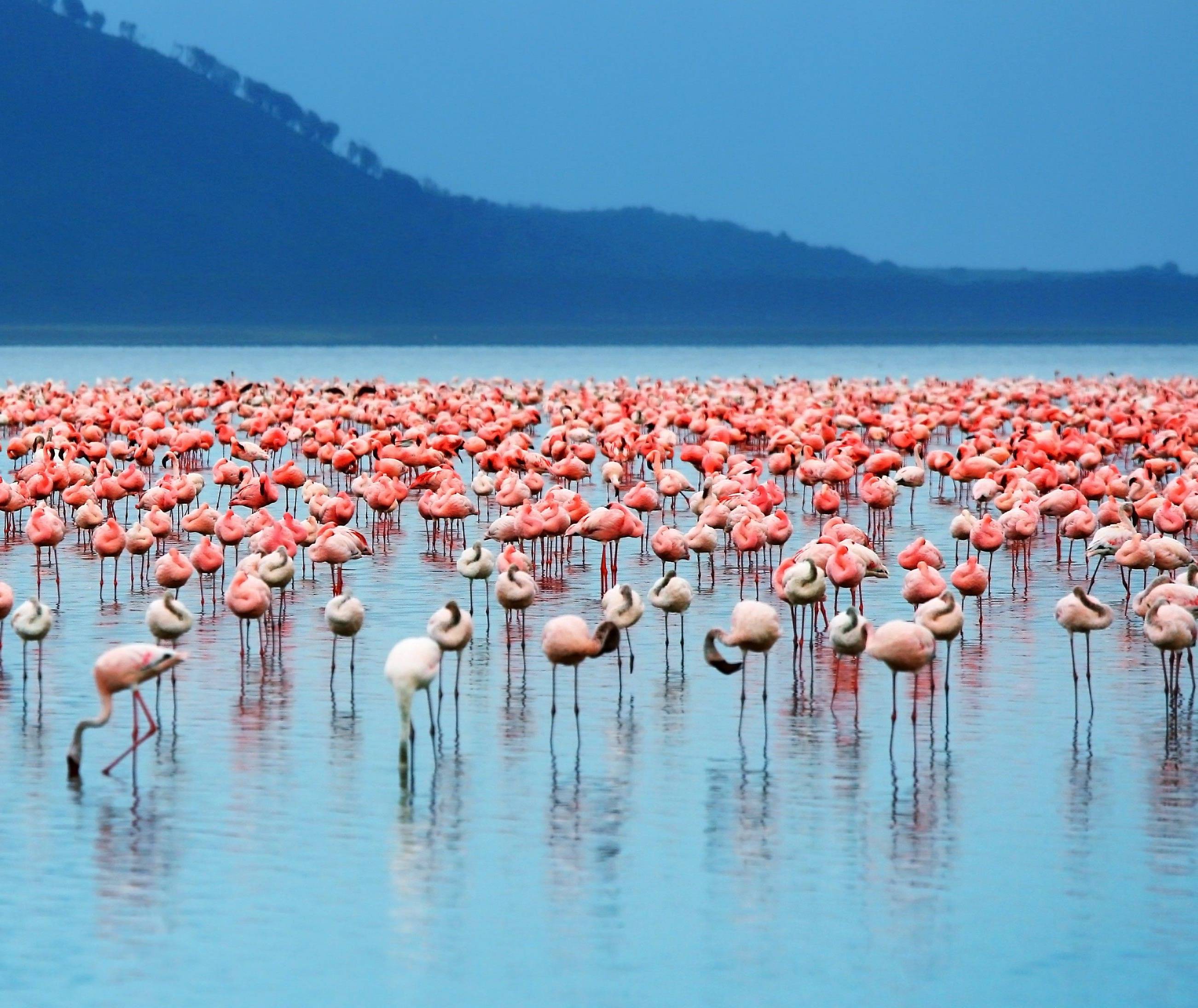 kenia reisinformatie