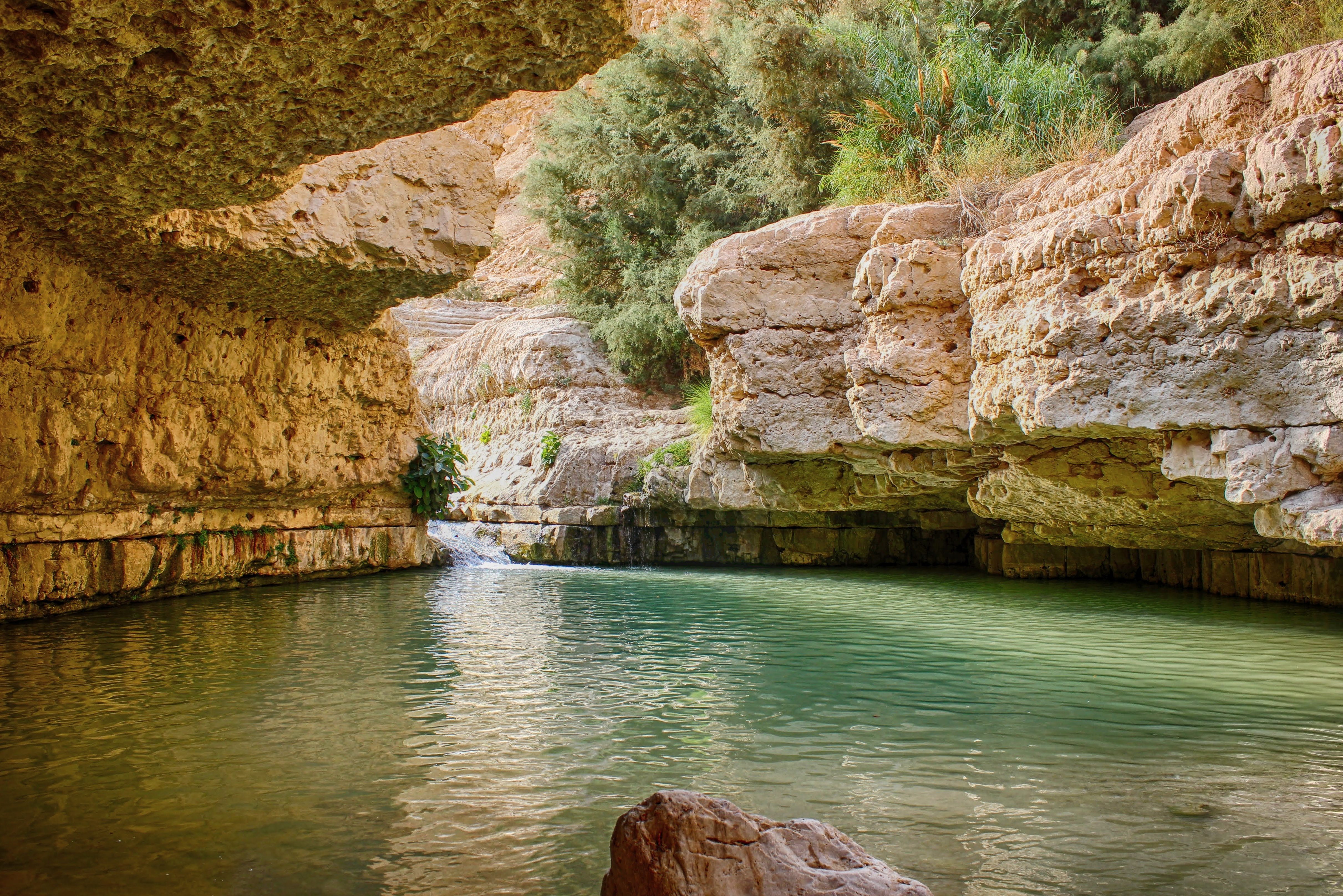 Wadi in Ein Gedi in Israël