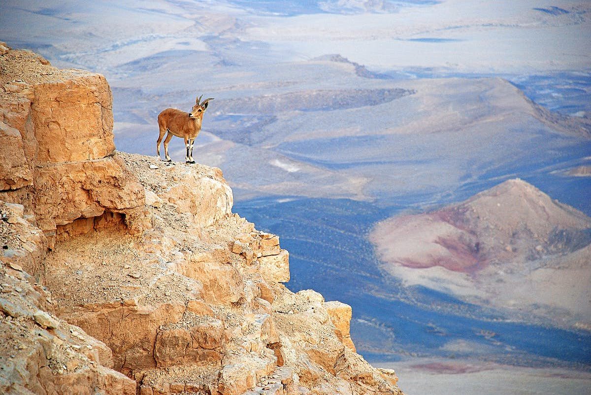 Makhtesh Ramon krater bij Mitzpe Ramon in Israël