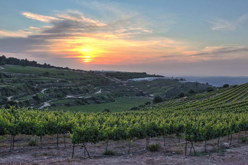 Wijnproeverij in de Golan in Israël