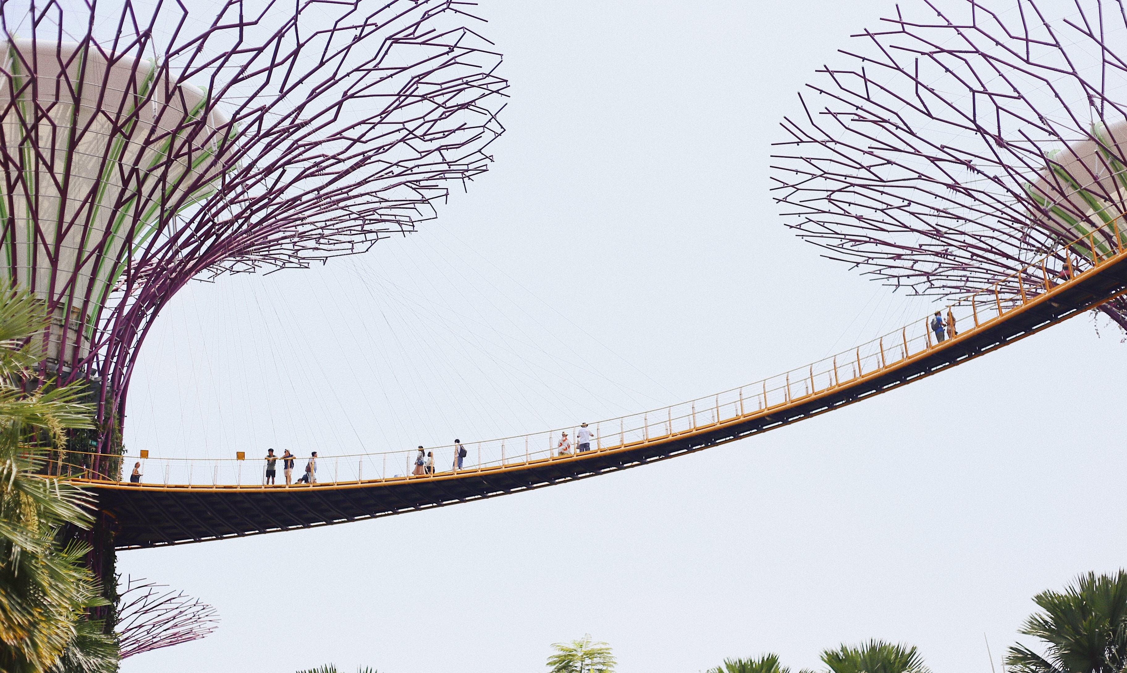 beste reistijd singapore