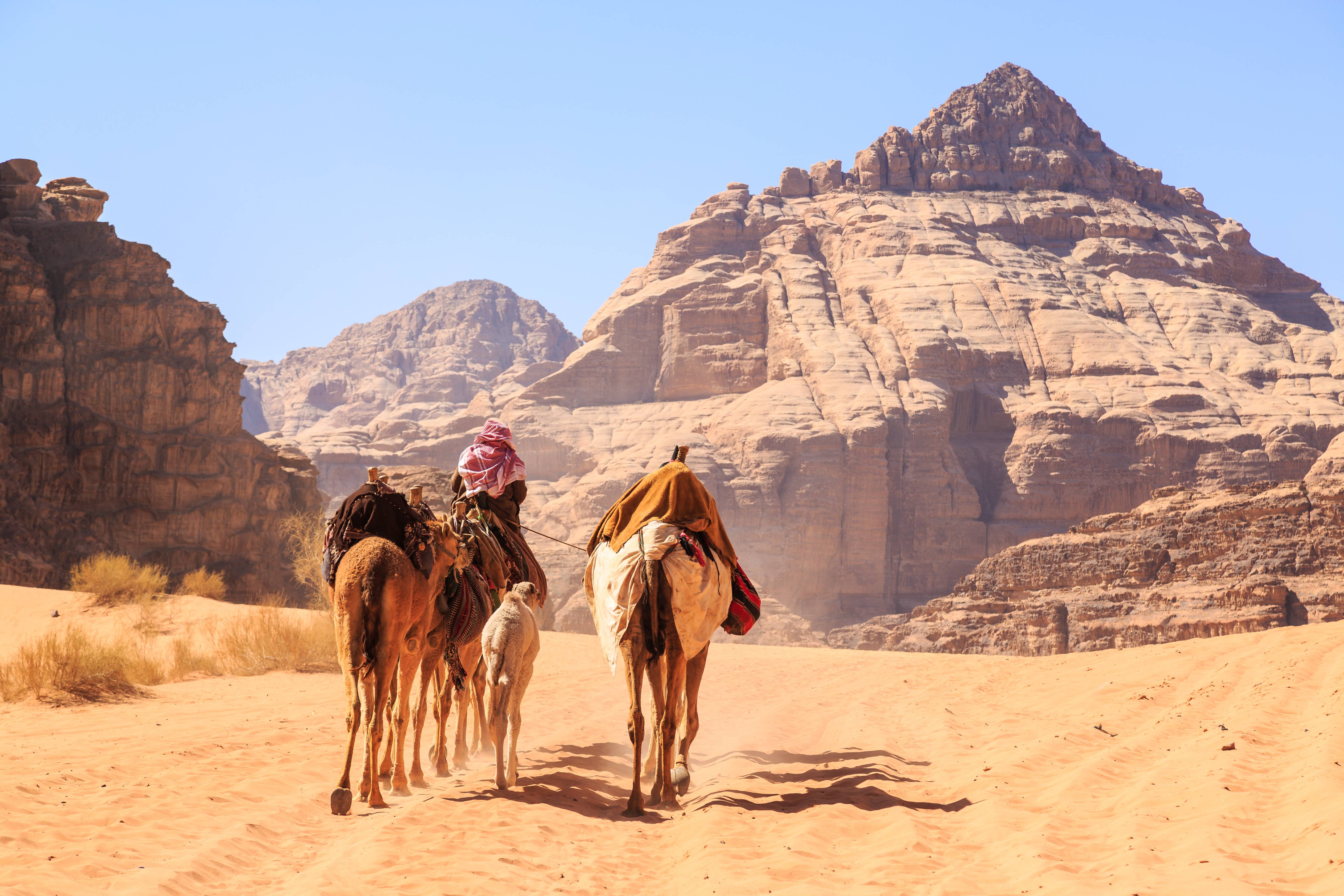 Жизнь и быт в пустыне. Wadi rum Иордания. Пустыня Вади рам Иордания. Верблюды Караван Вади рам. Бедуин пустыни Вади рам.