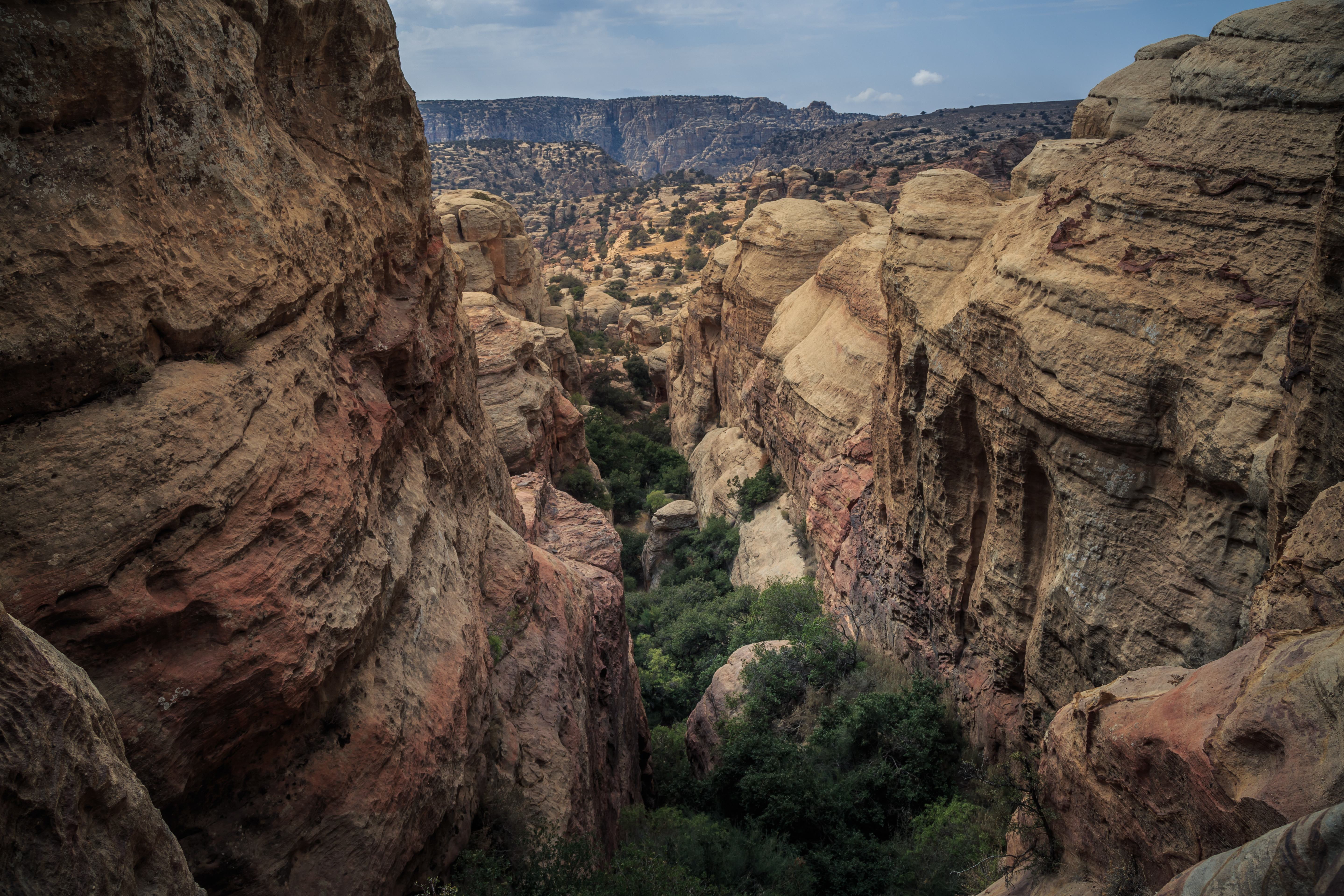 Rotslandschap en diepe kloof in Dana Biosphere Reserve in Jordanië