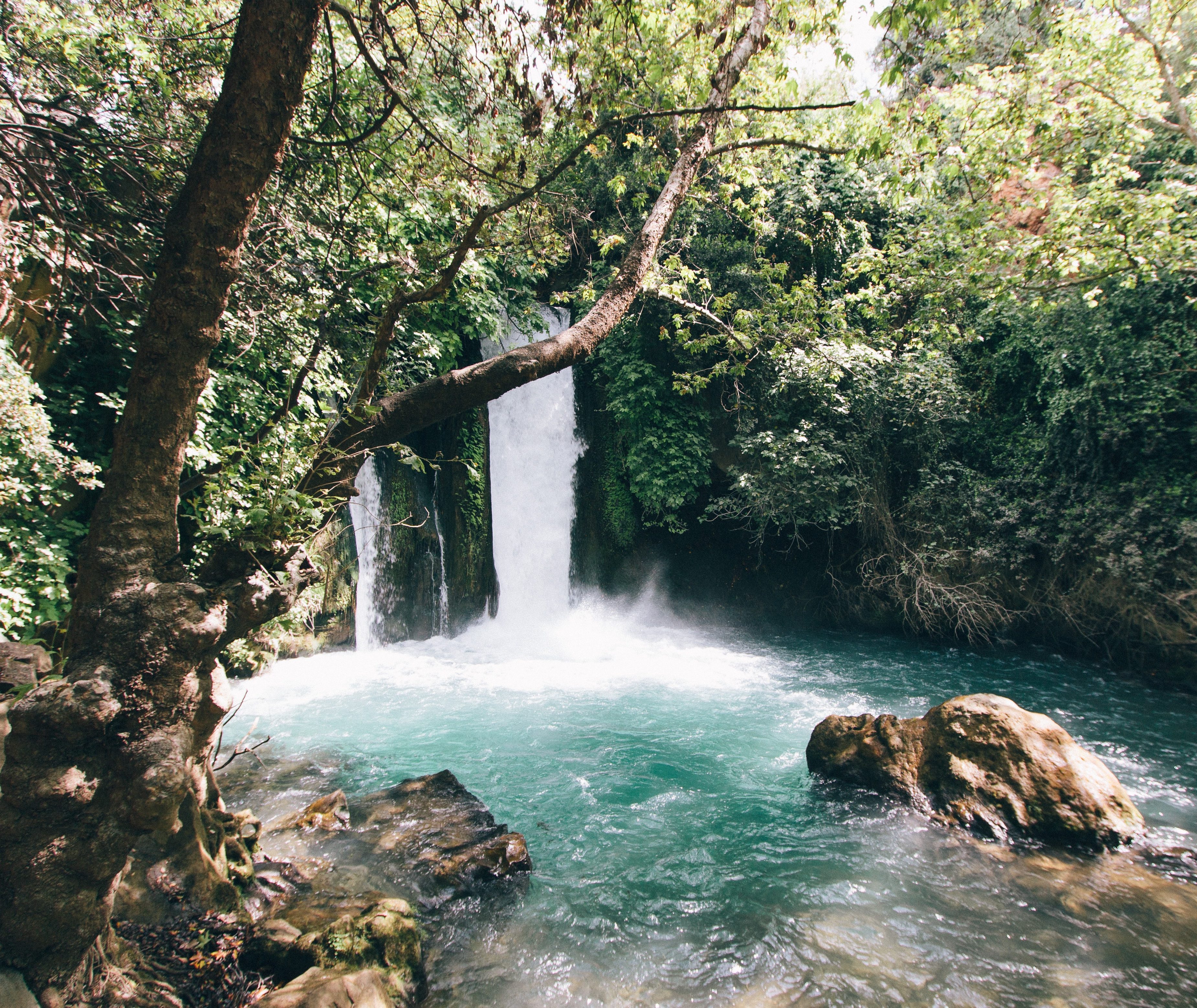 Ein Gedi National Park Israël
