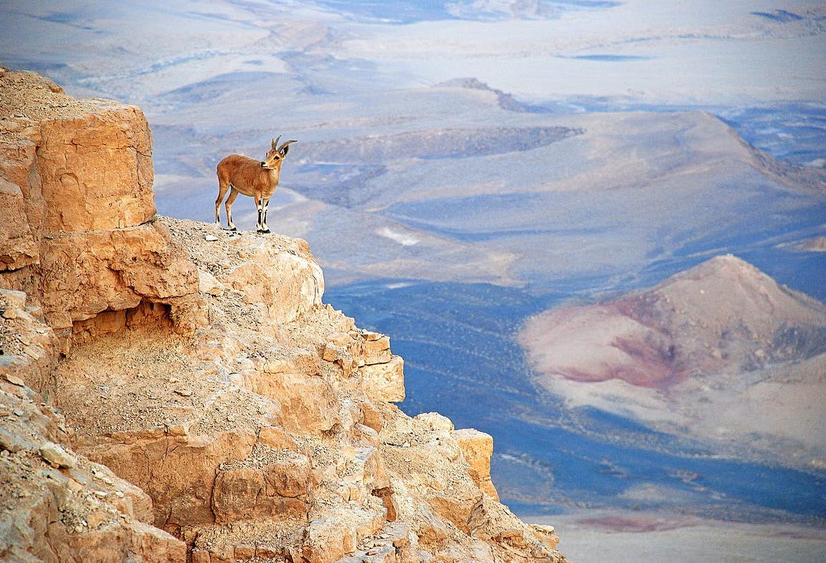 Mitzpe Ramon in Israel