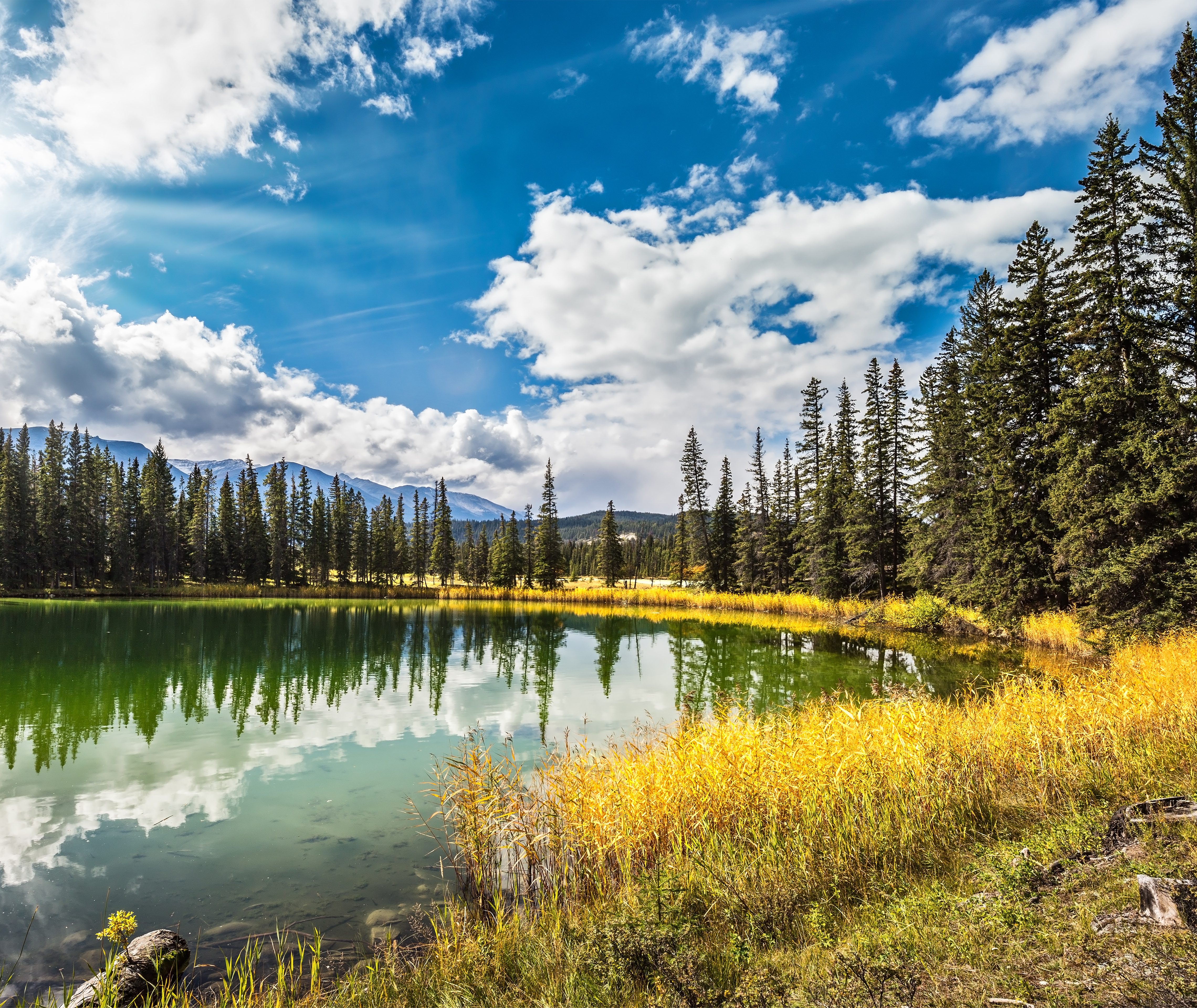 Jasper National Park Alberta Canada