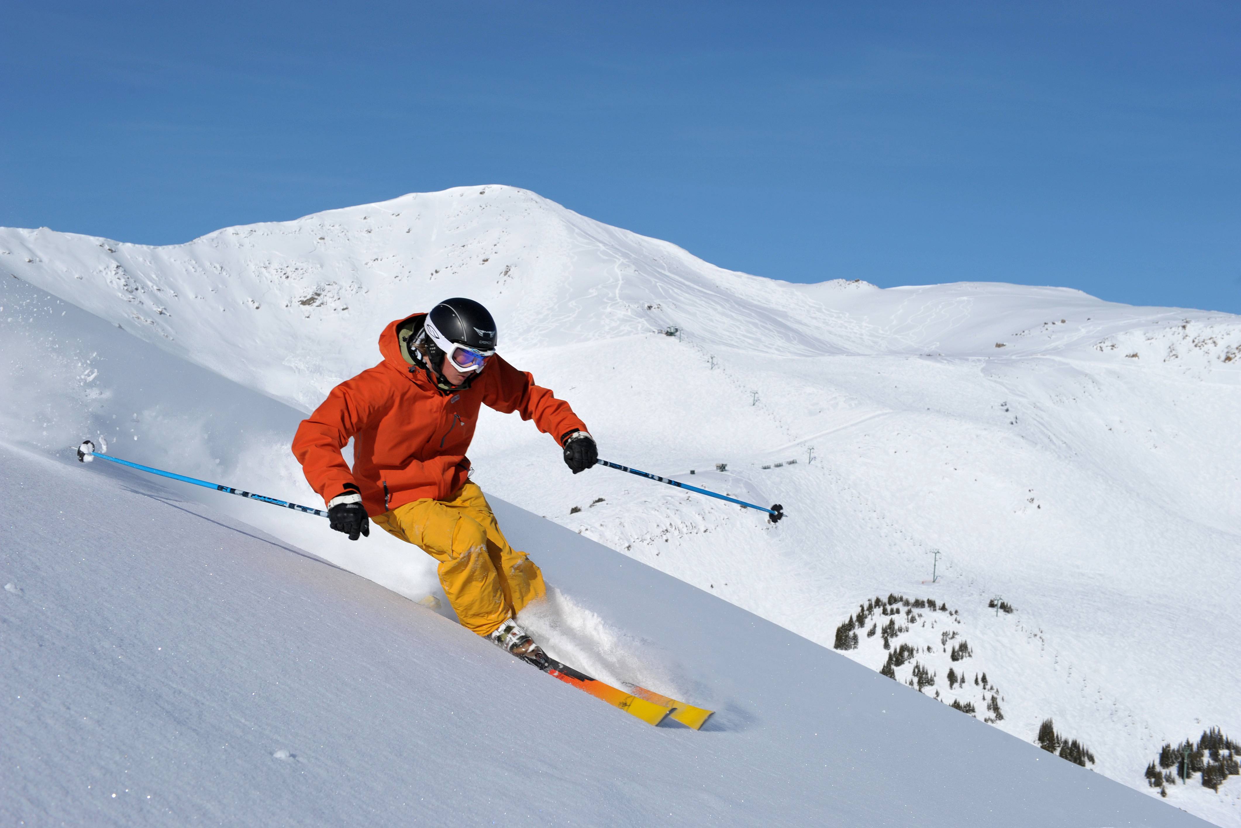 Ostrich Snow Skiing