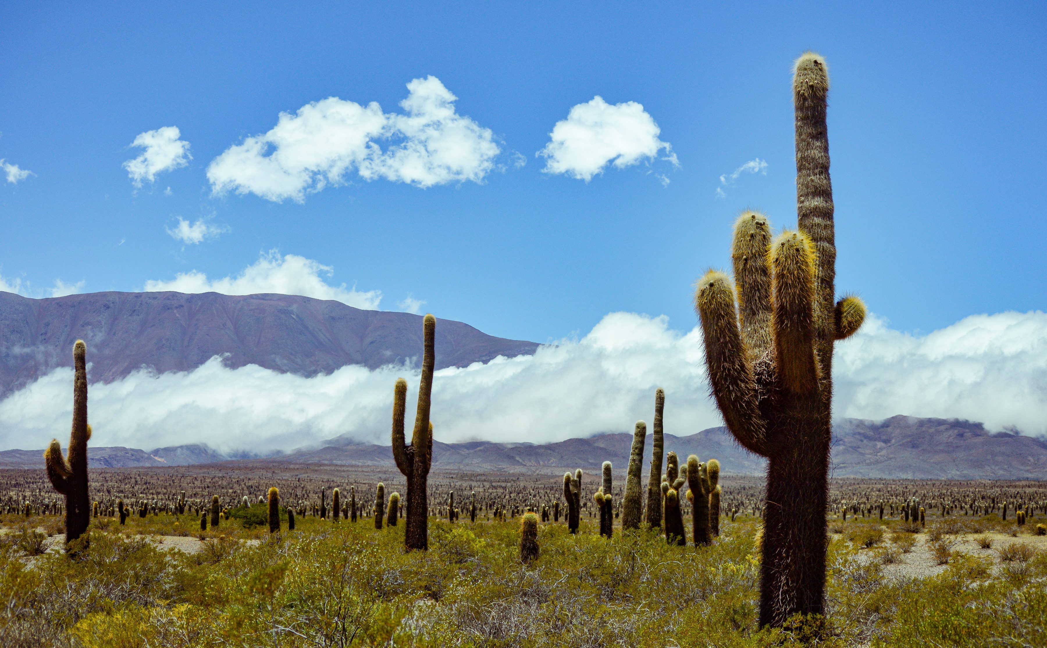 Salta Argentinie