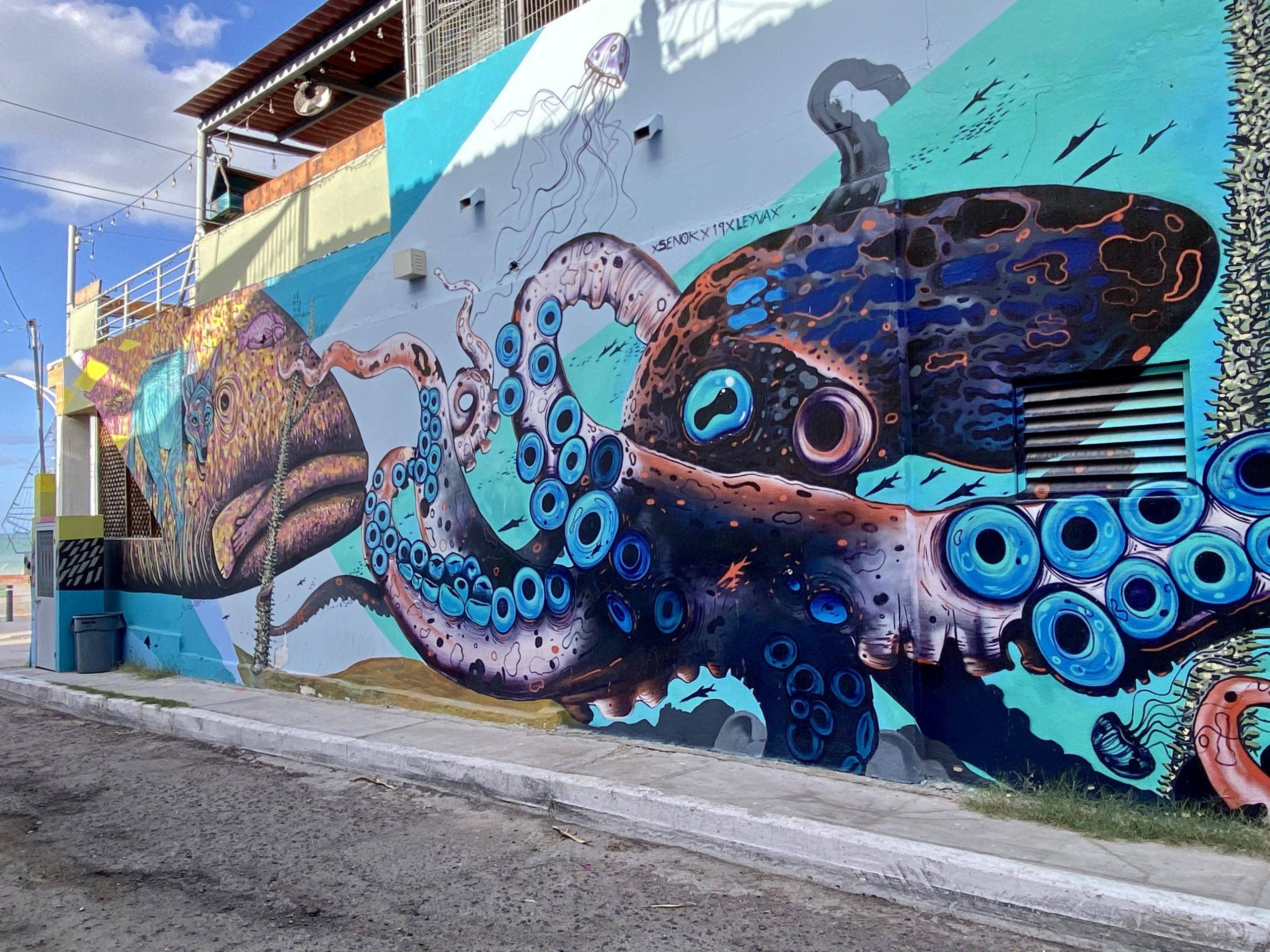 Kleurrijke streetart in Baja California, Mexico