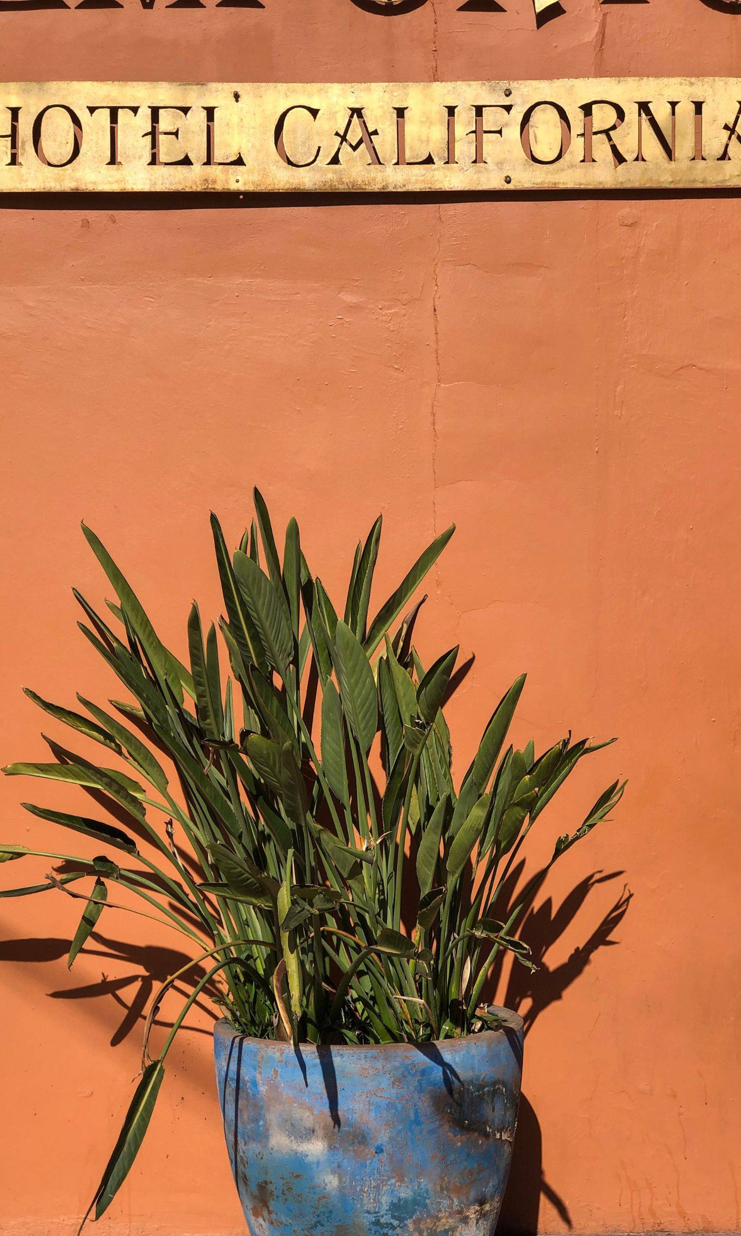 Hotel California in Todos Santos, Mexico