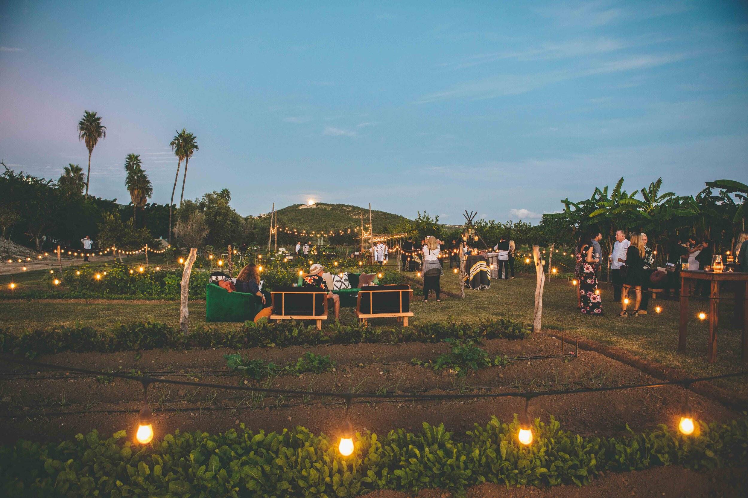 Farm to table experience in Tamarindos, Mexico