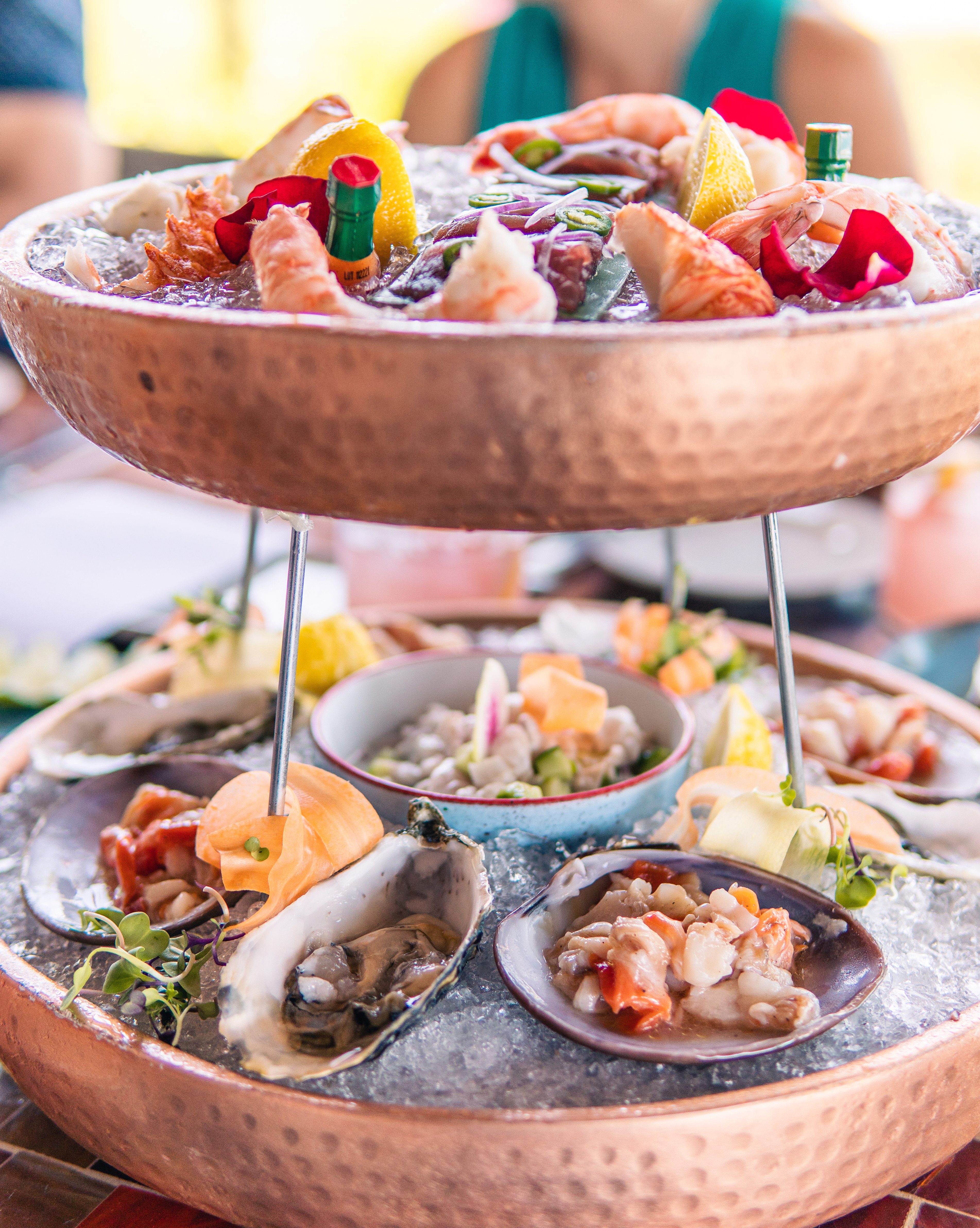 Verse ceviche in San Jose del Cabo, Mexico