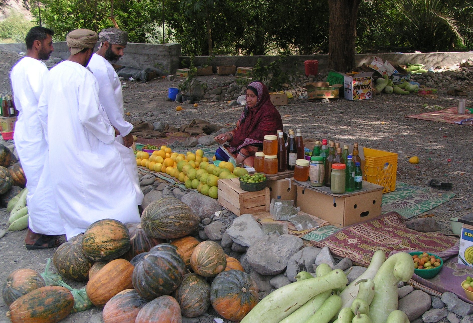 oman-dhofar-salalah-tropisch-fruit