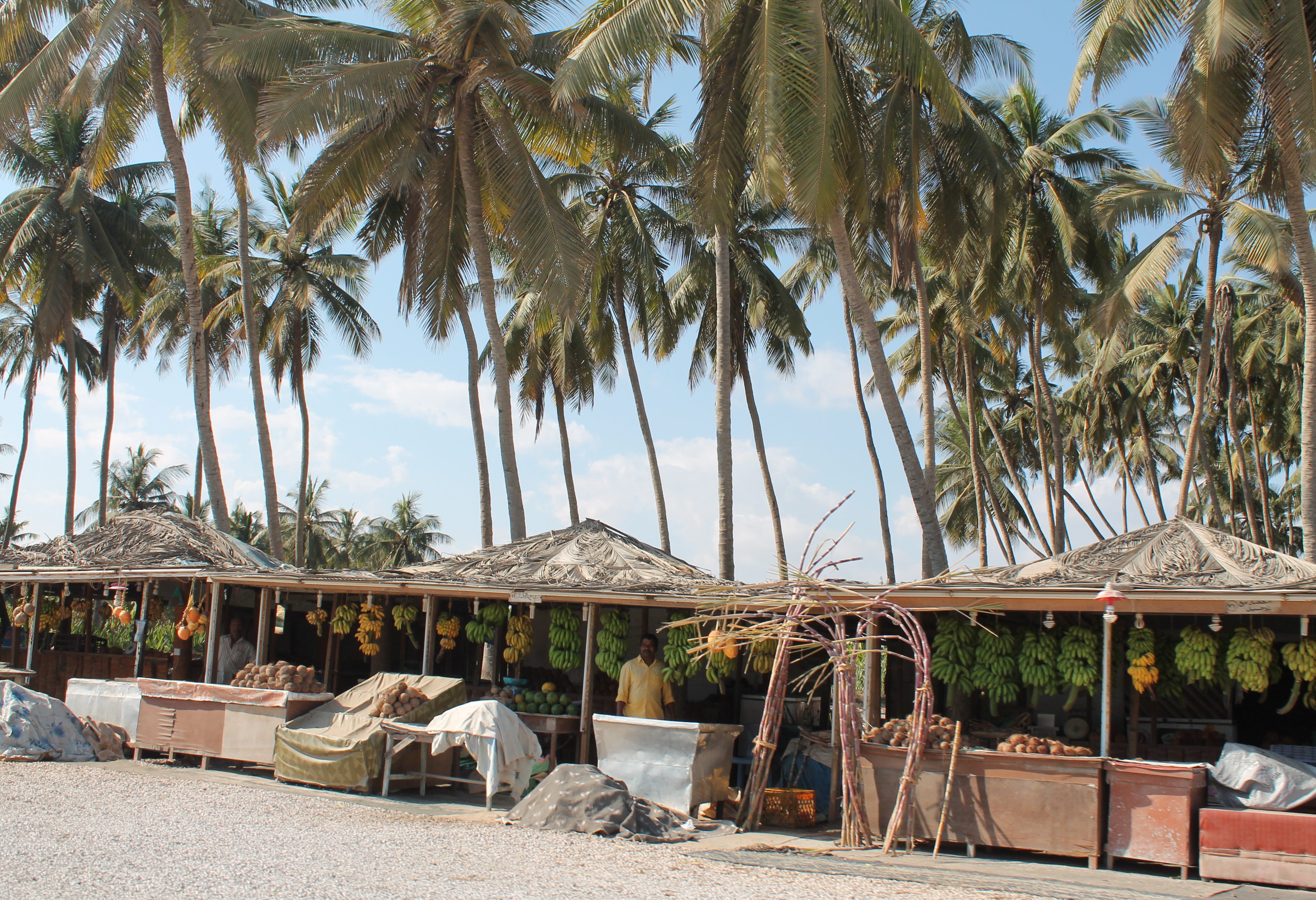 oman-dhofar-salalah-fruit-bananen-suikerriet