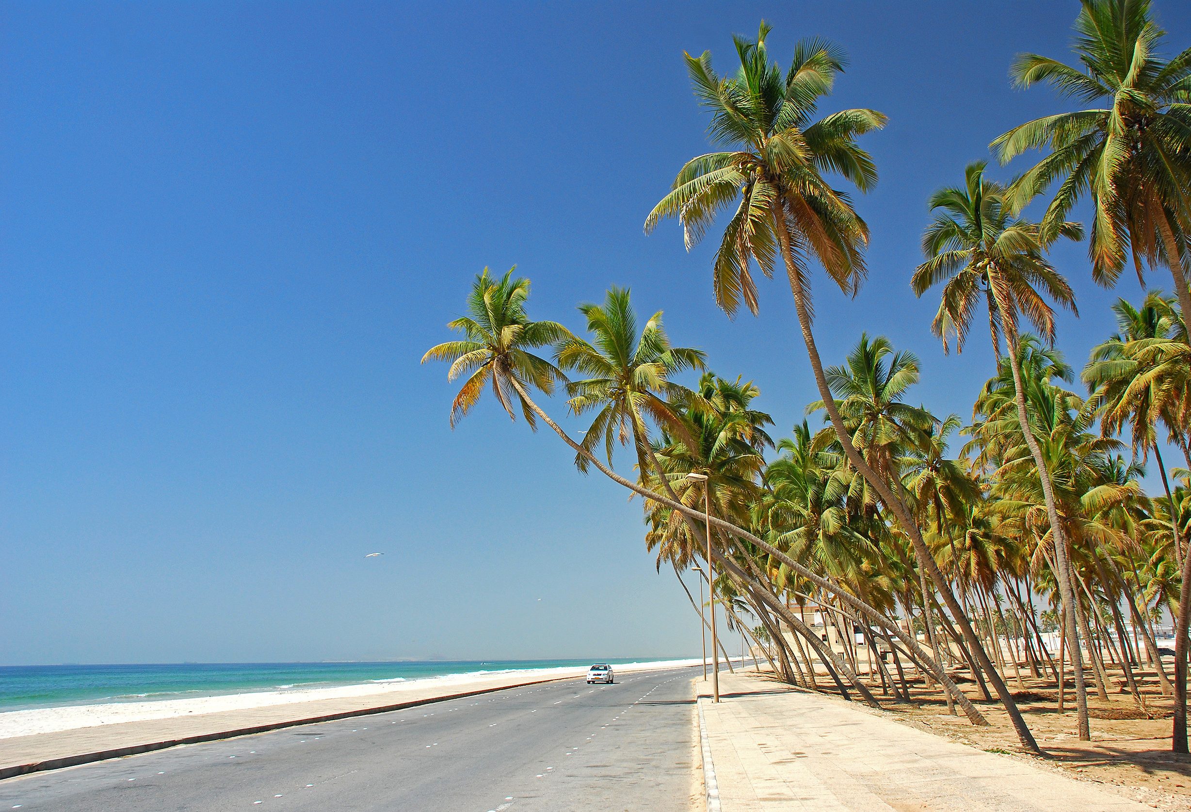 oman-salalah-weg-langs-de-kust