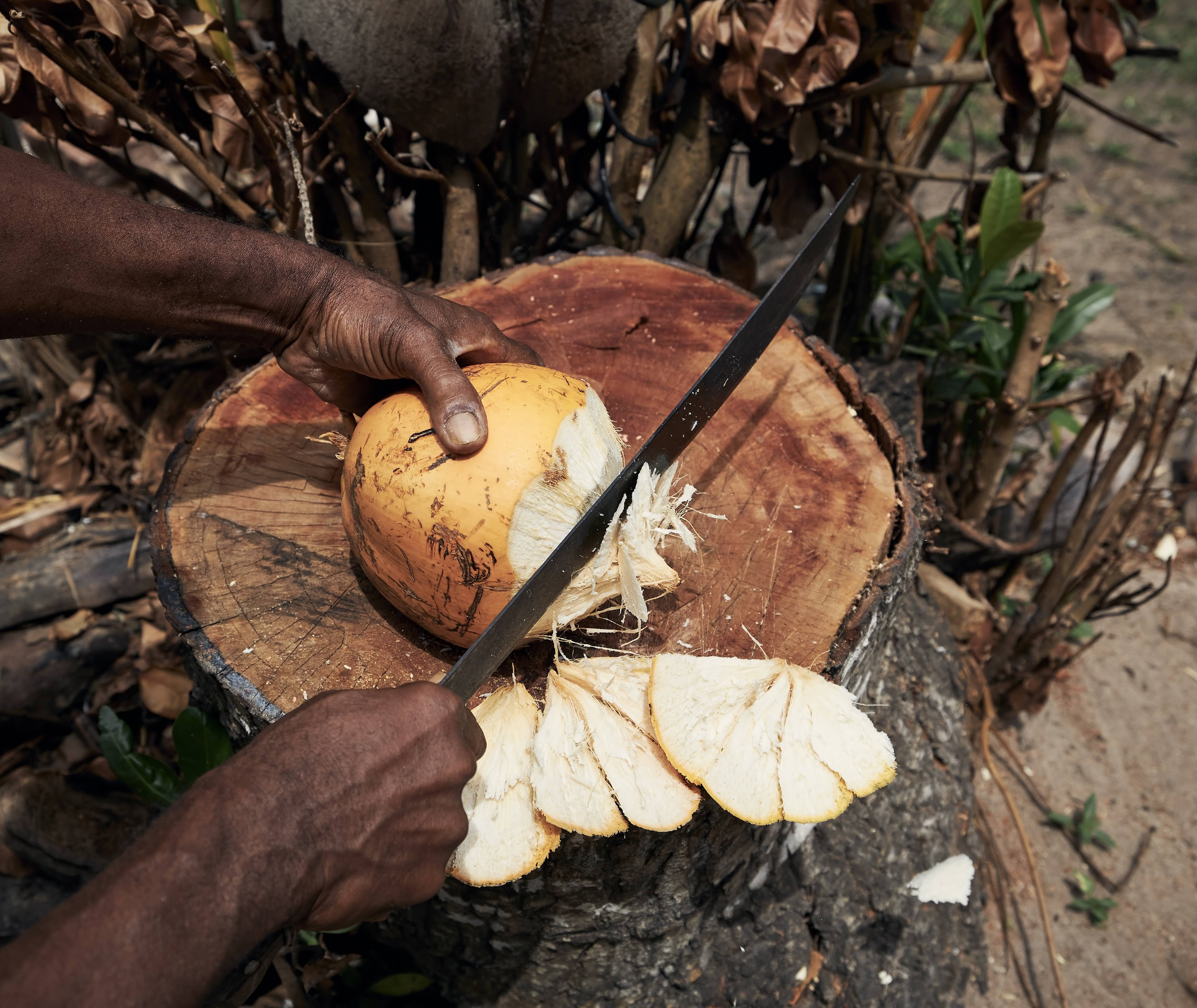 Landinformatie Seychellen