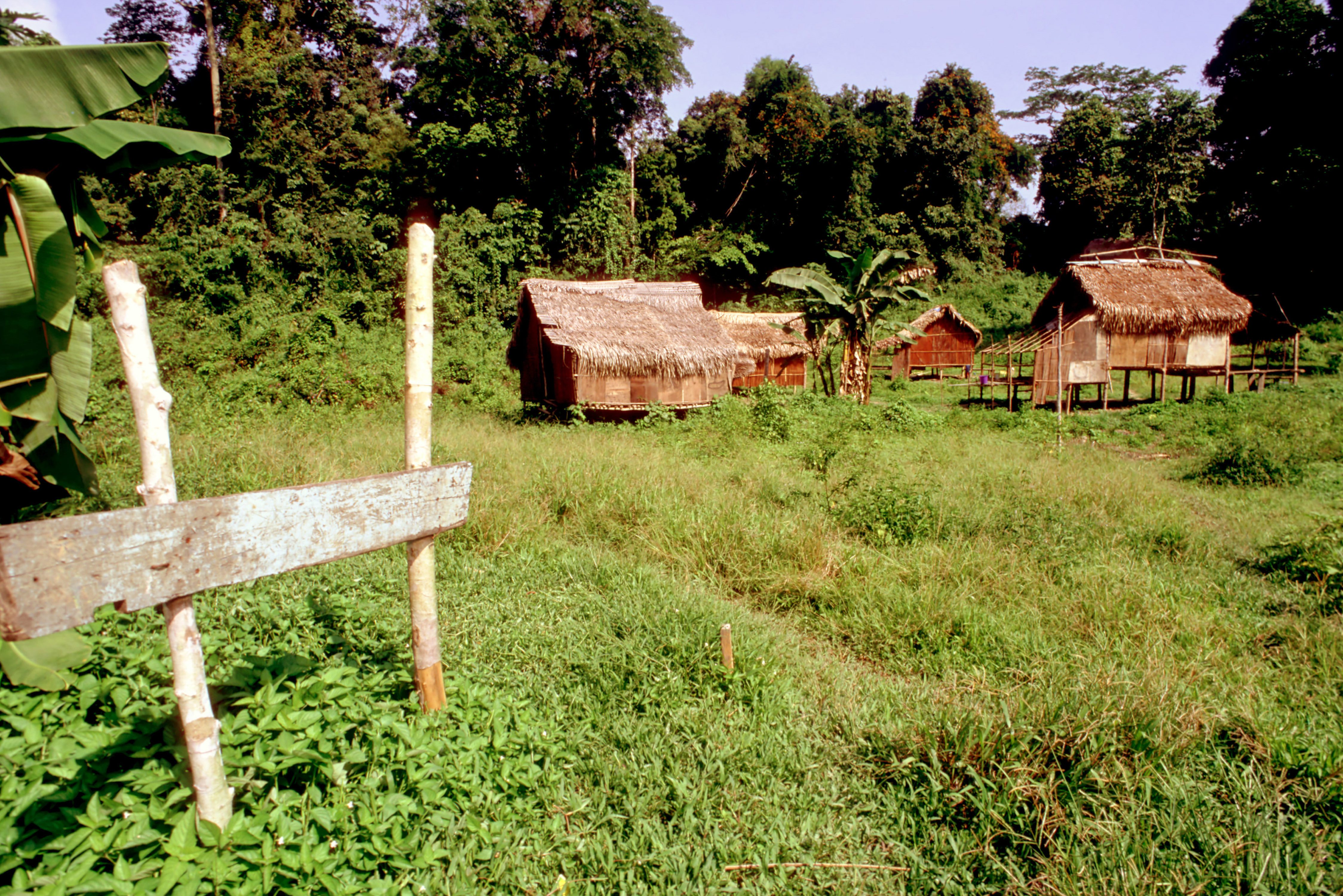 Huizen van de orang asli in West-Maleisië