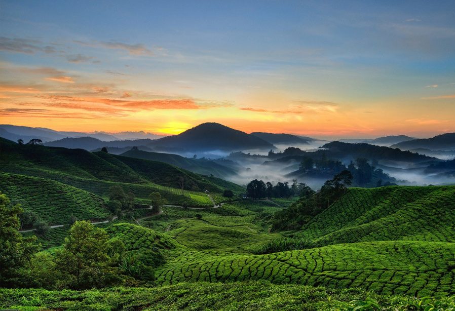 Uitzicht over de Cameron Highlands in Maleisië