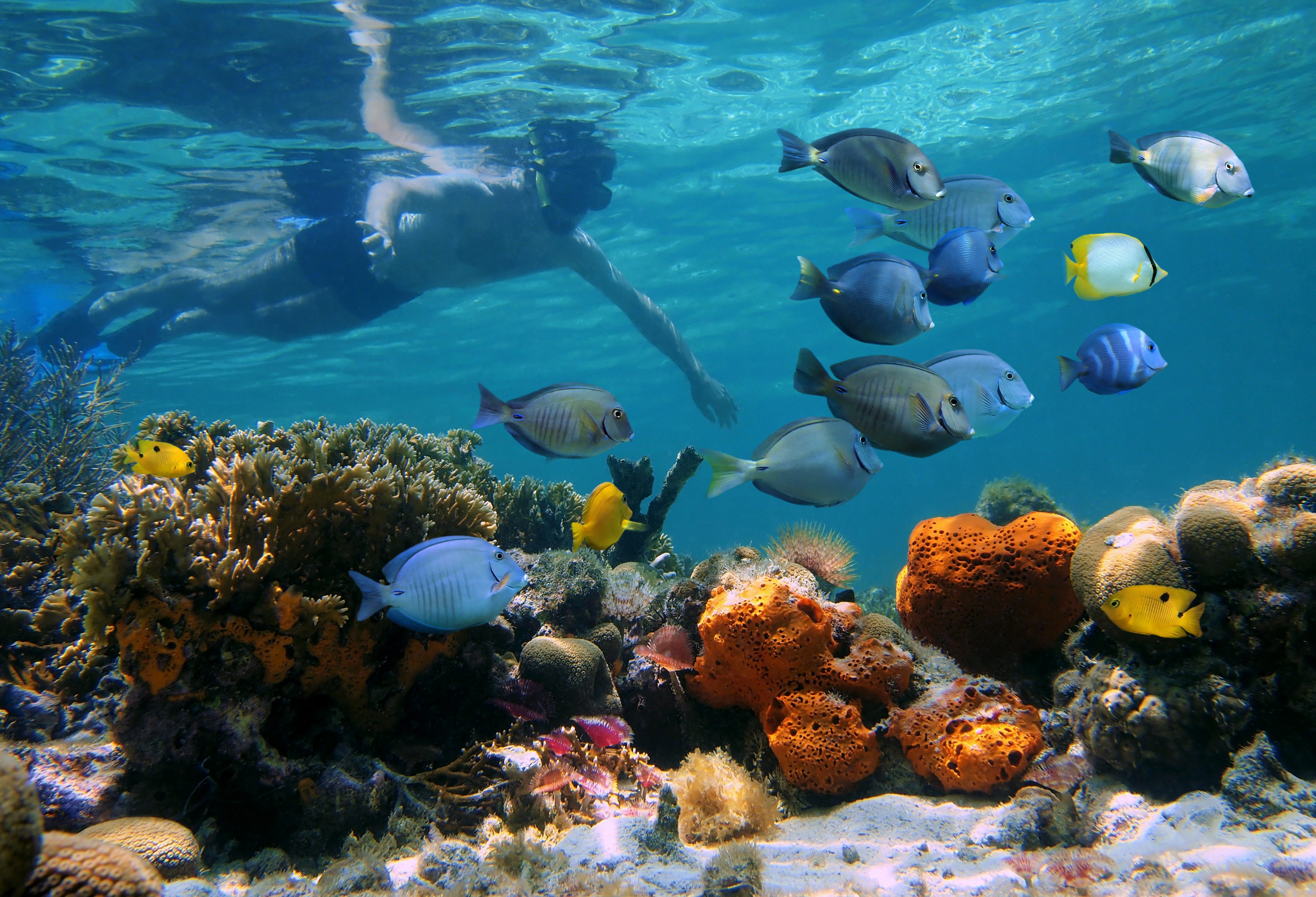 Snorkelen bij Pulau Payar