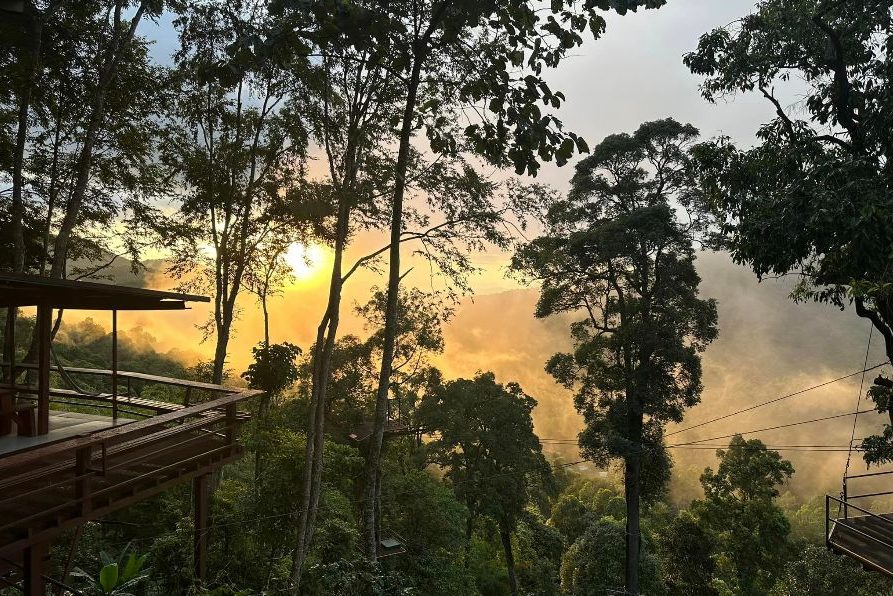 Thailand Chiang Mai Zipline avontuur excursie