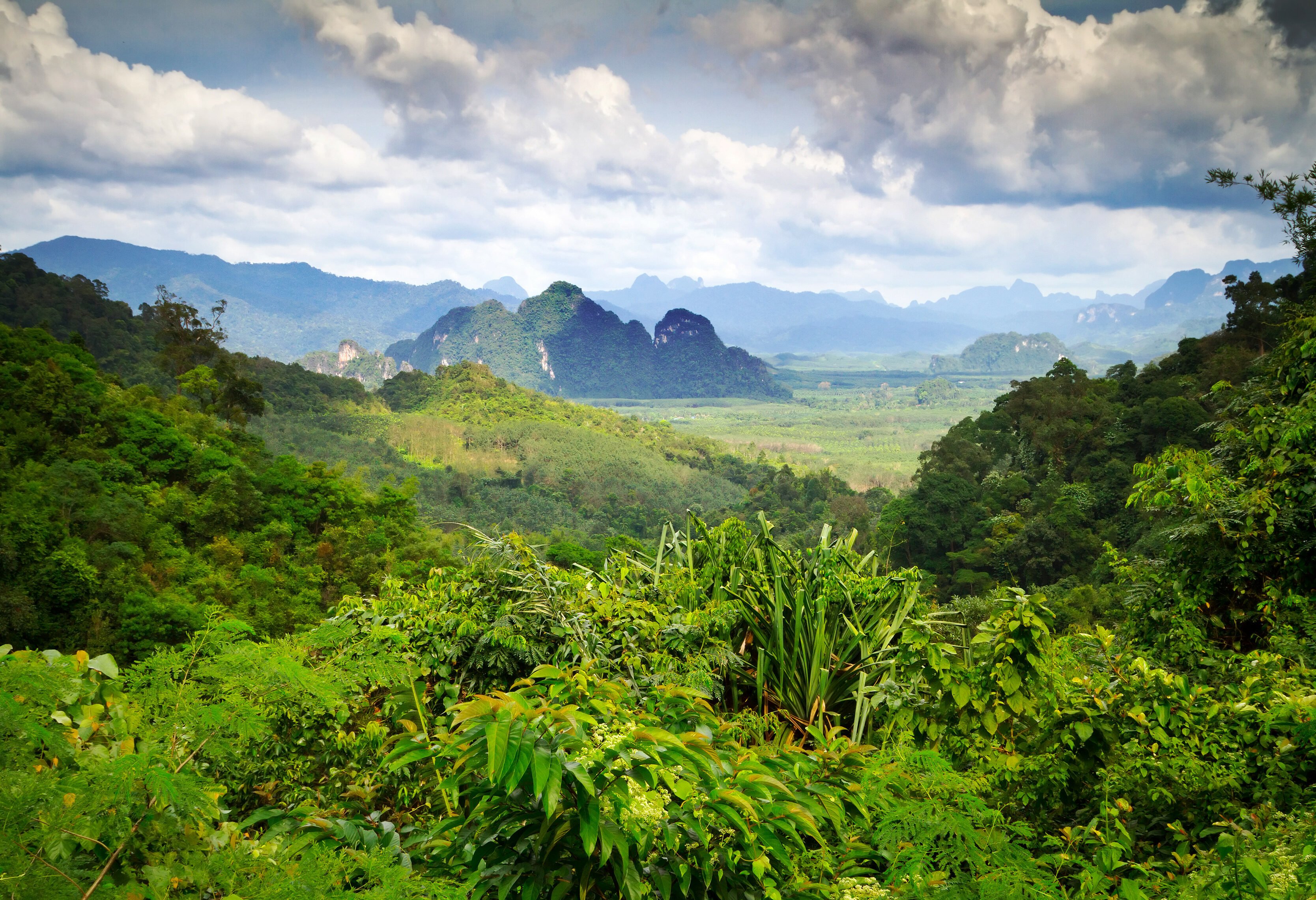 Khao Sok nationaal park