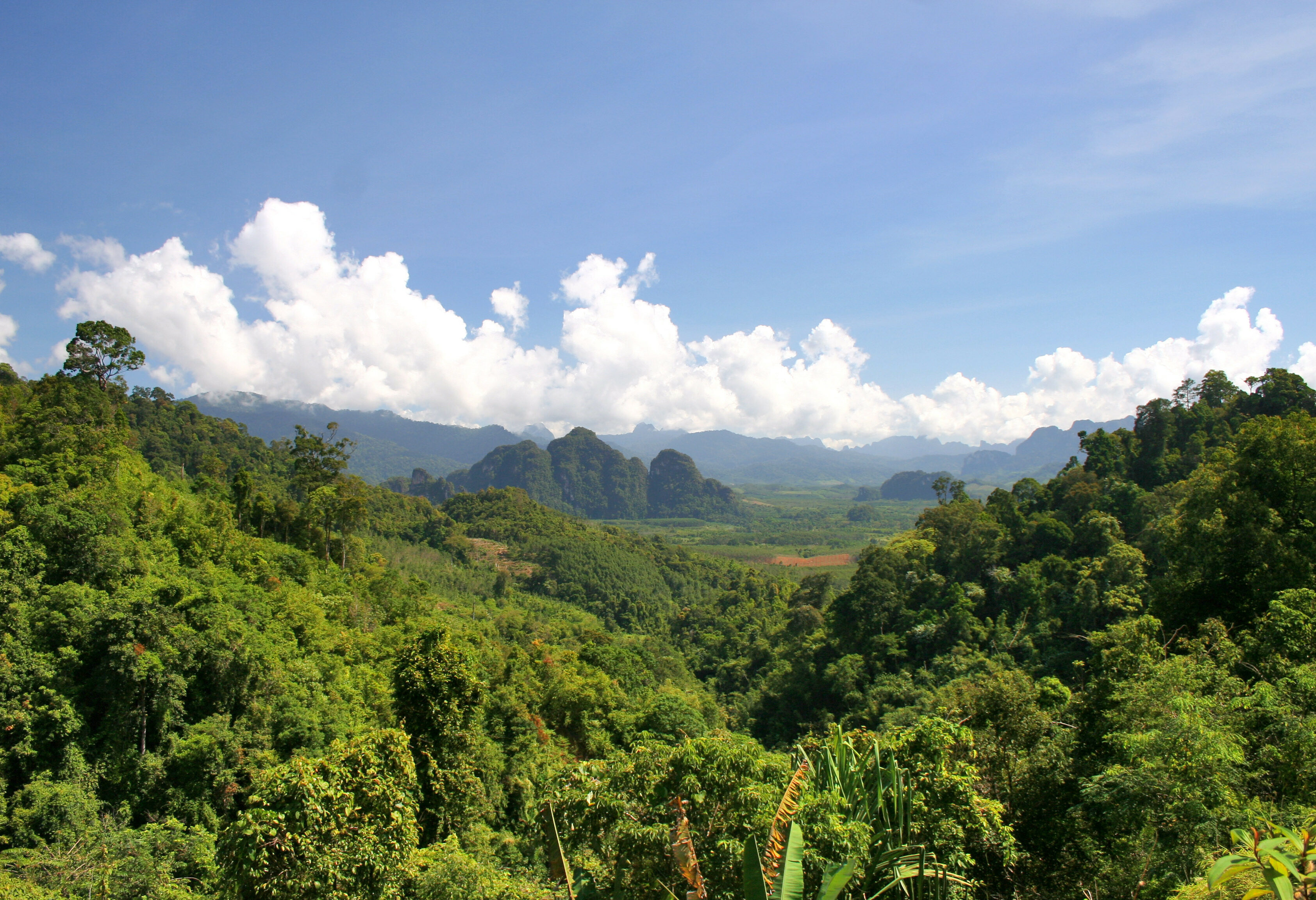 Khao Sok Nationaal Park