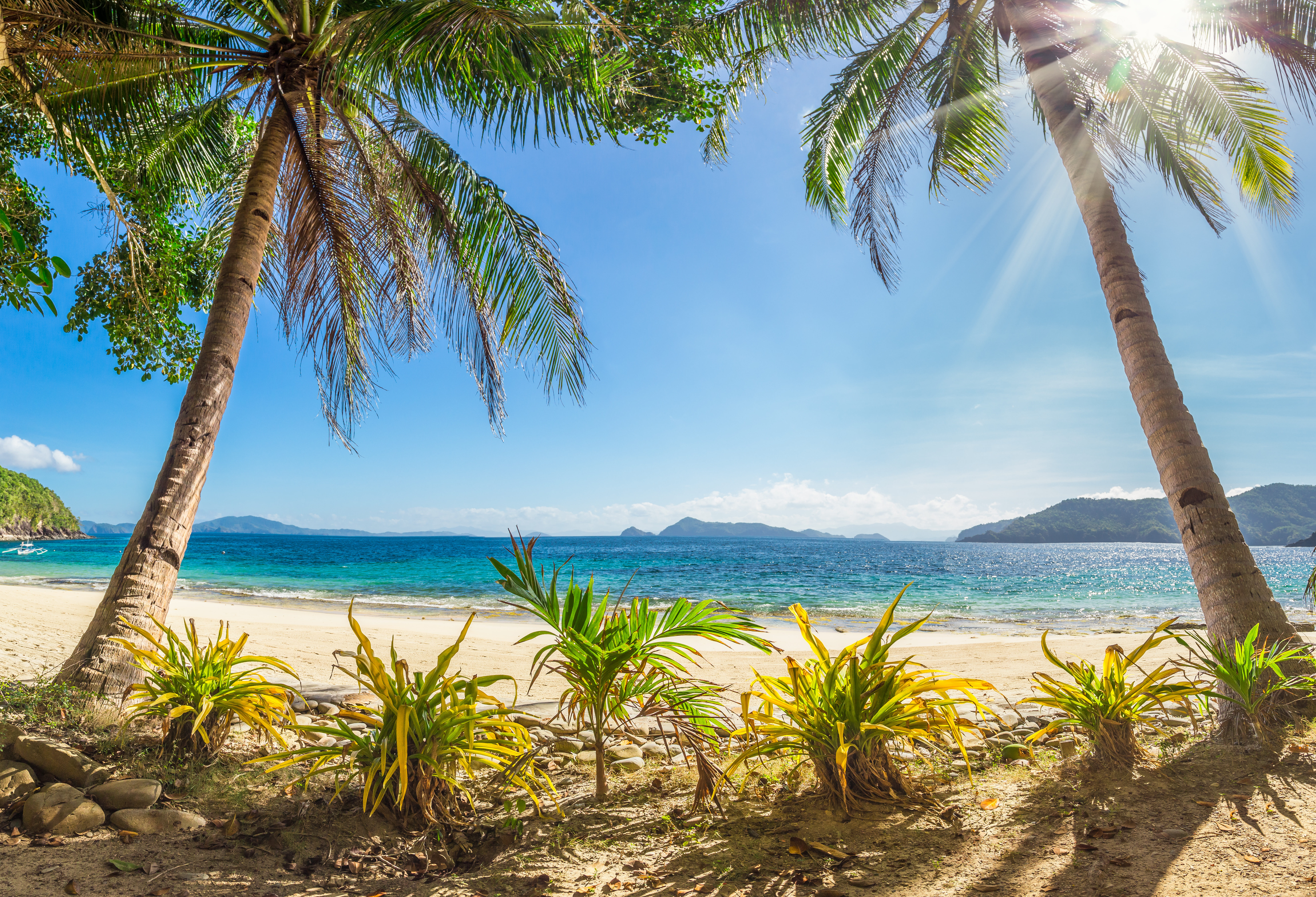 Palmenstrand in de Visayas