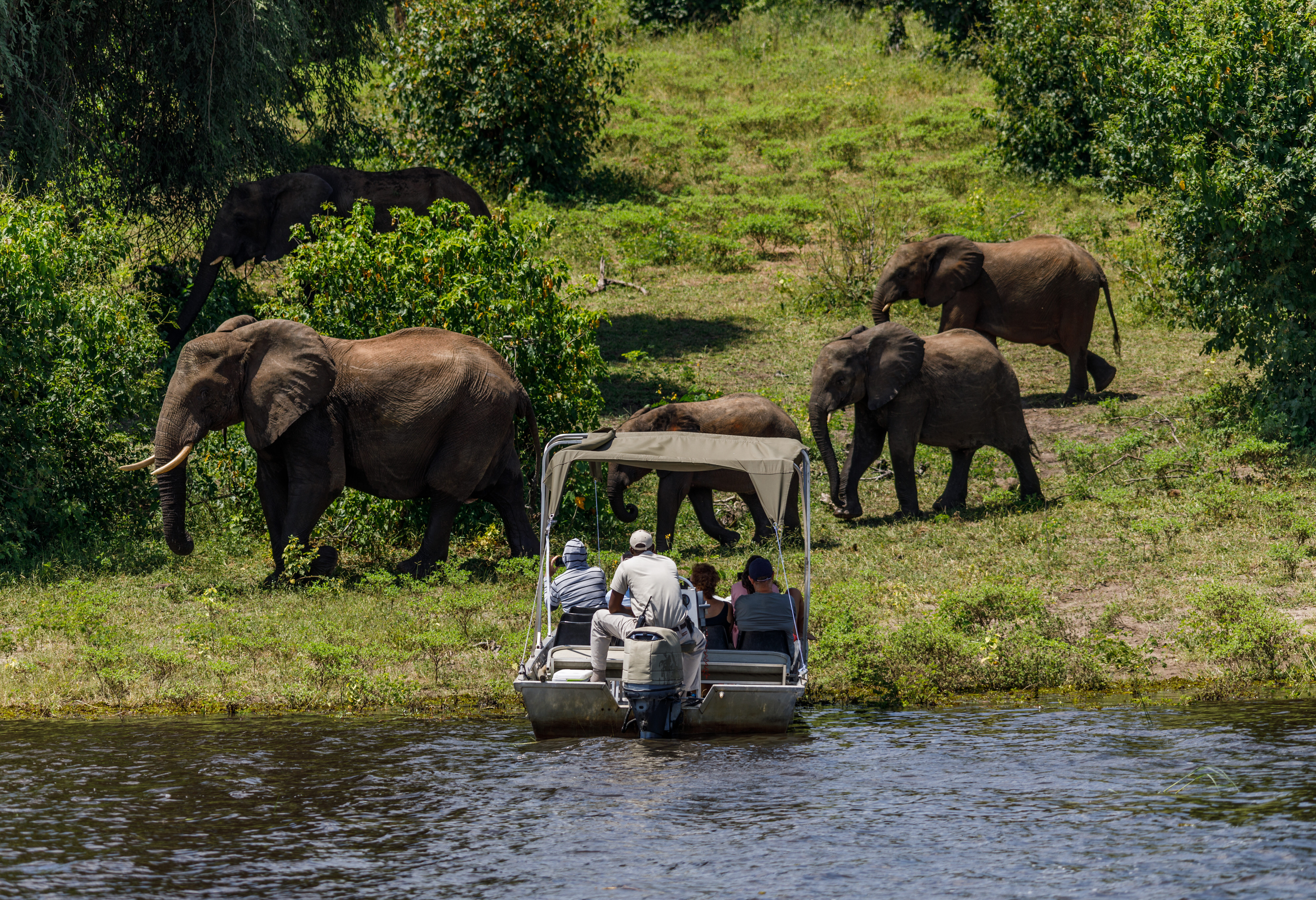Botswana Chobe Rivier Safari