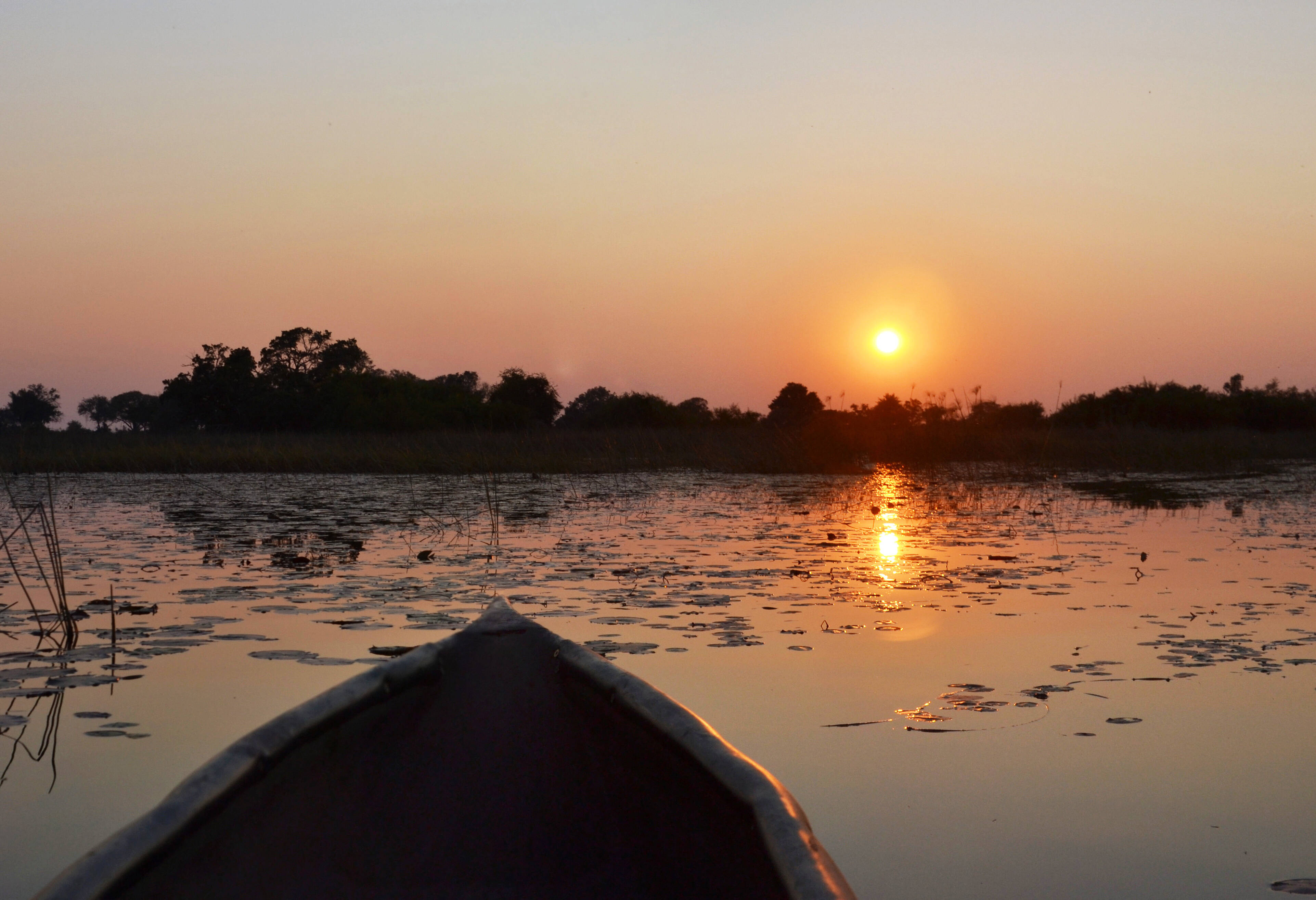 Botswana Okavango Delta