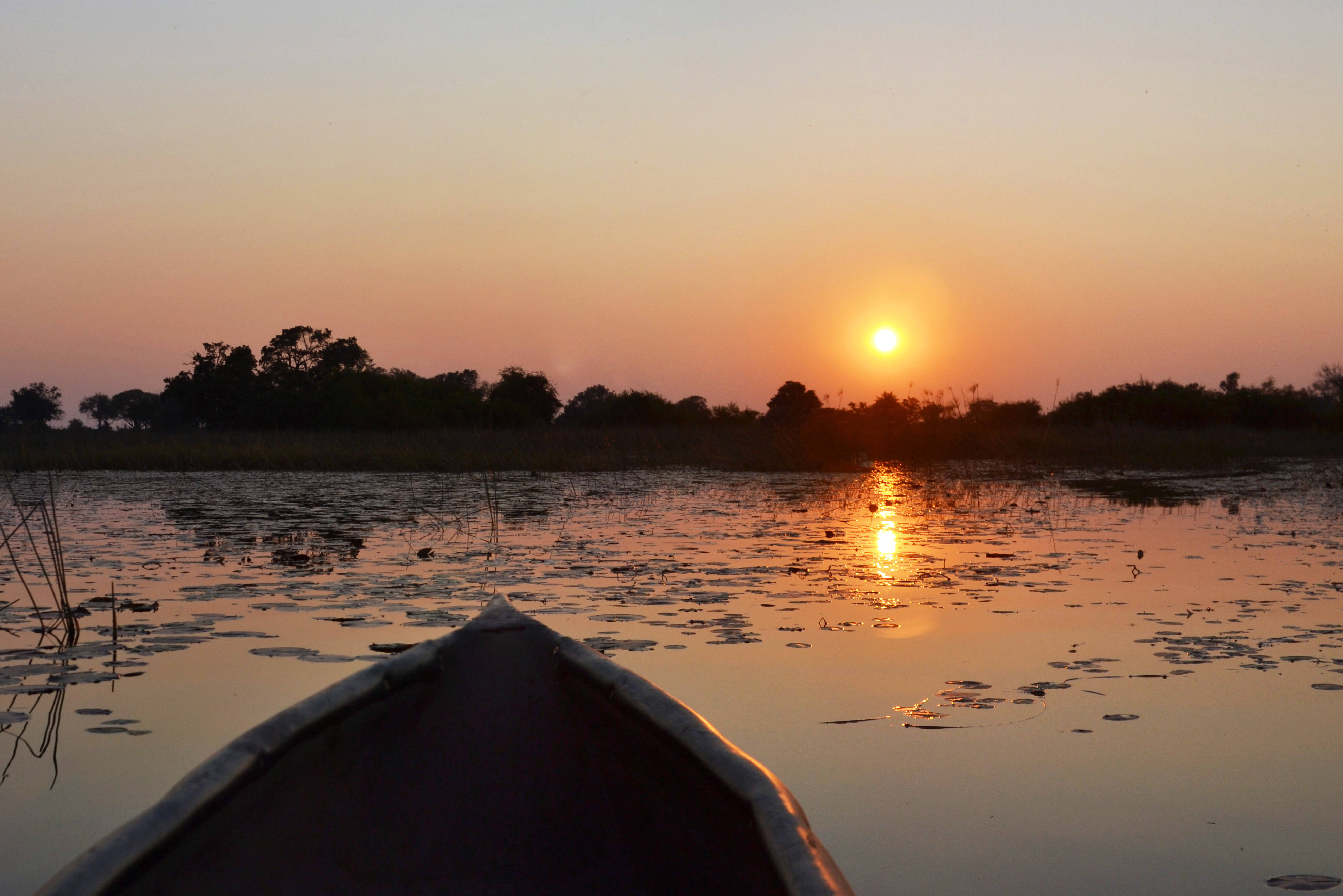 Botswana Okavango Delta