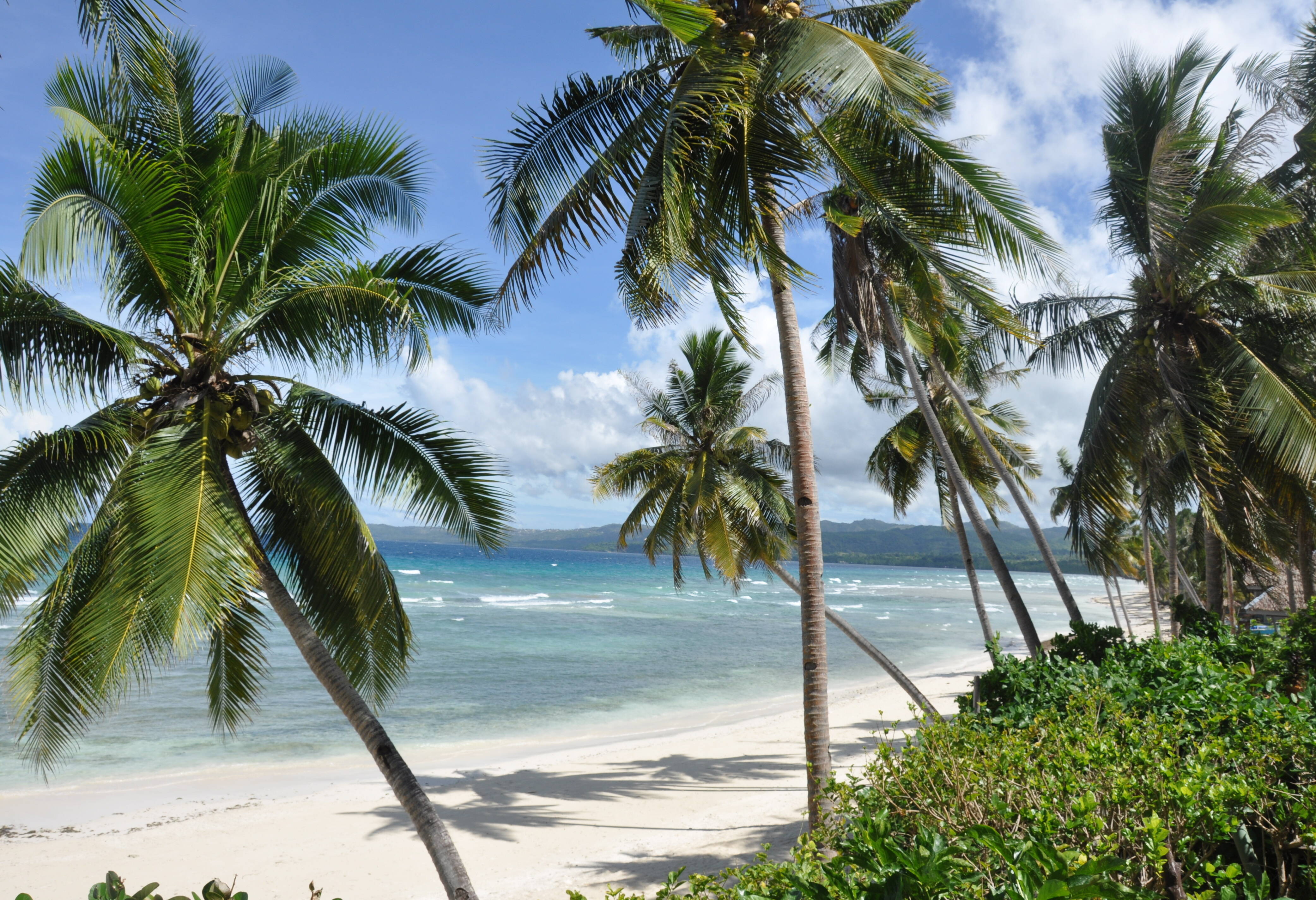 Ongerept palmenstrand op Siquijor