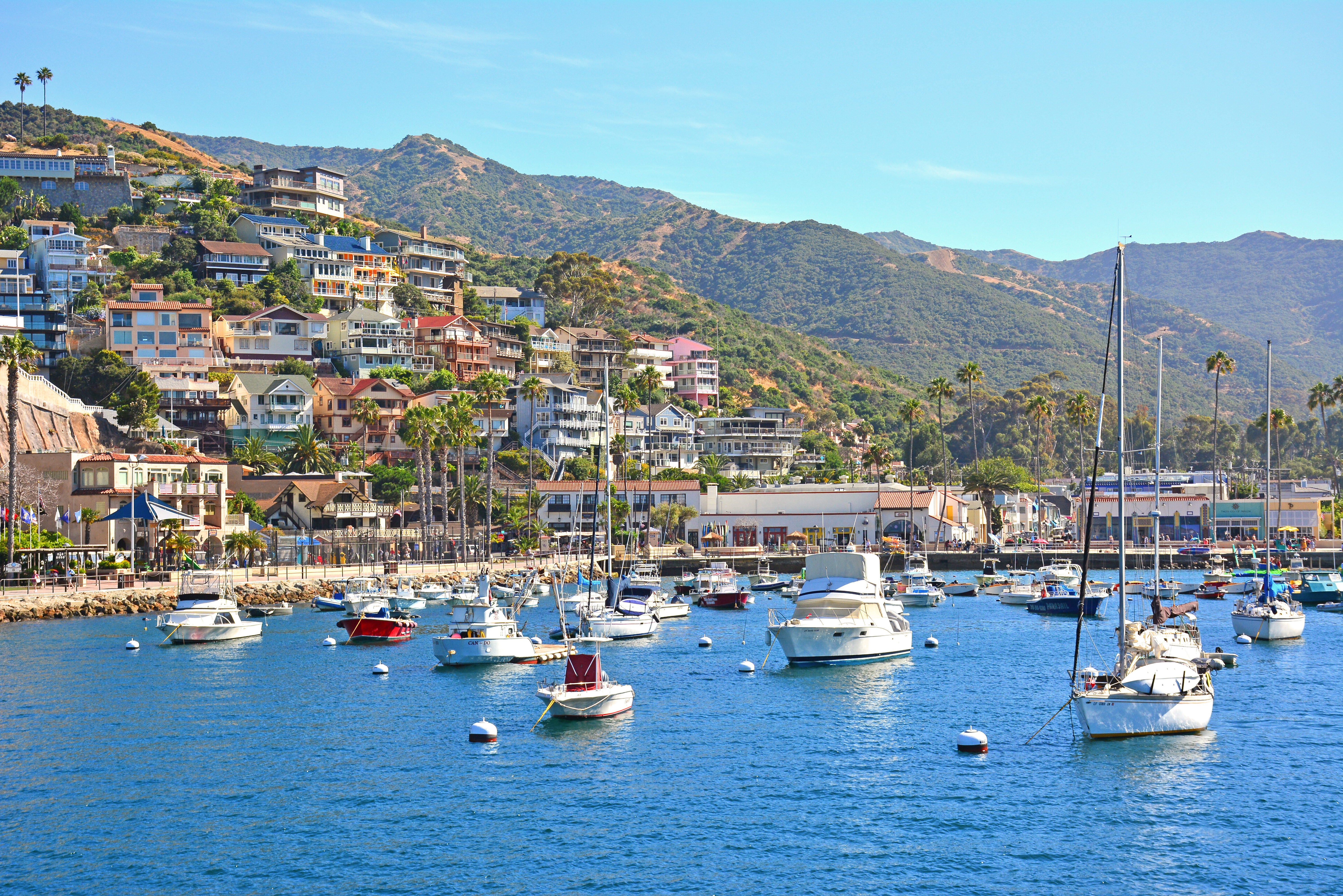 Avalon Haven Catalina Island