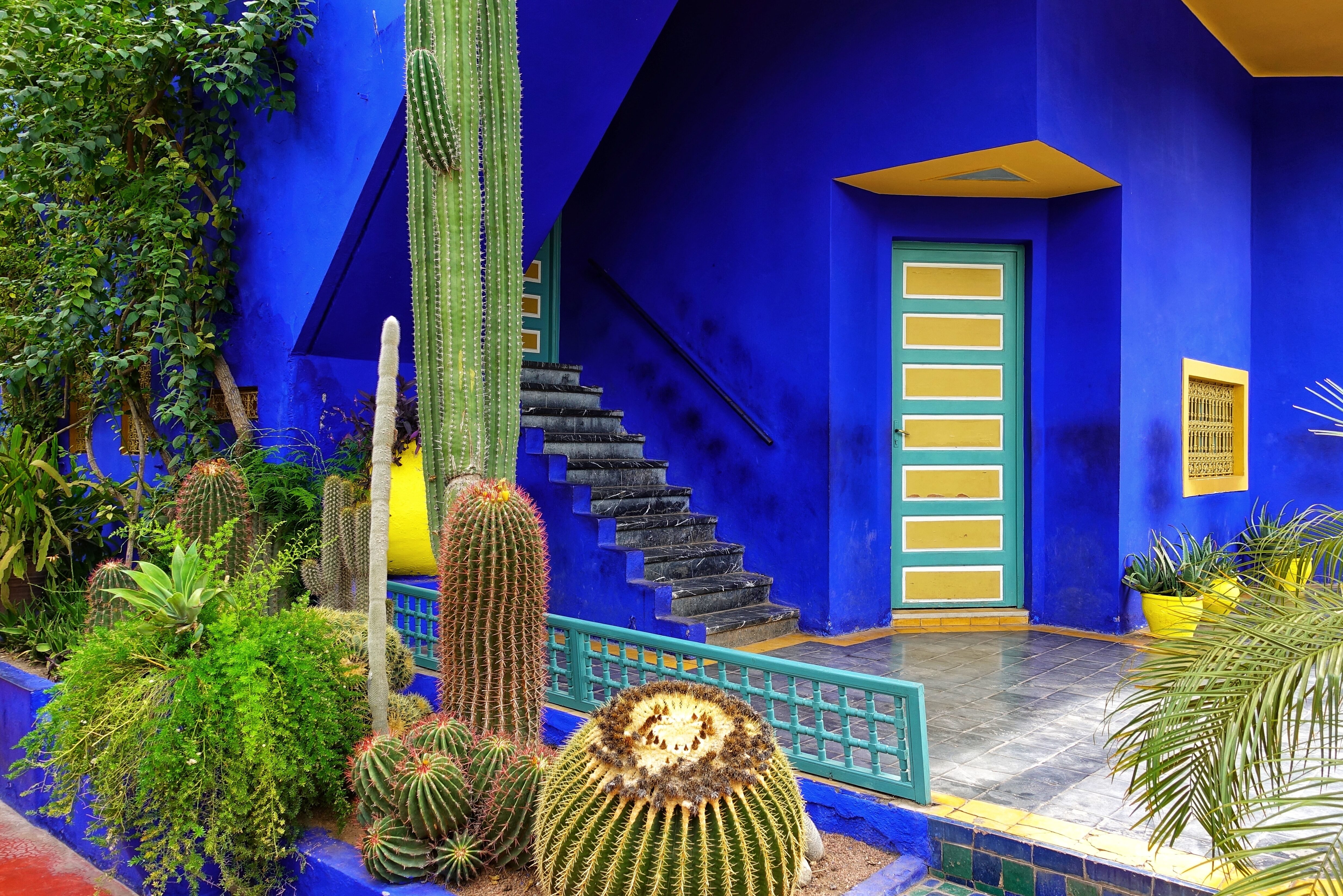 Jardin Majorelle in Marrakesh in Marokko
