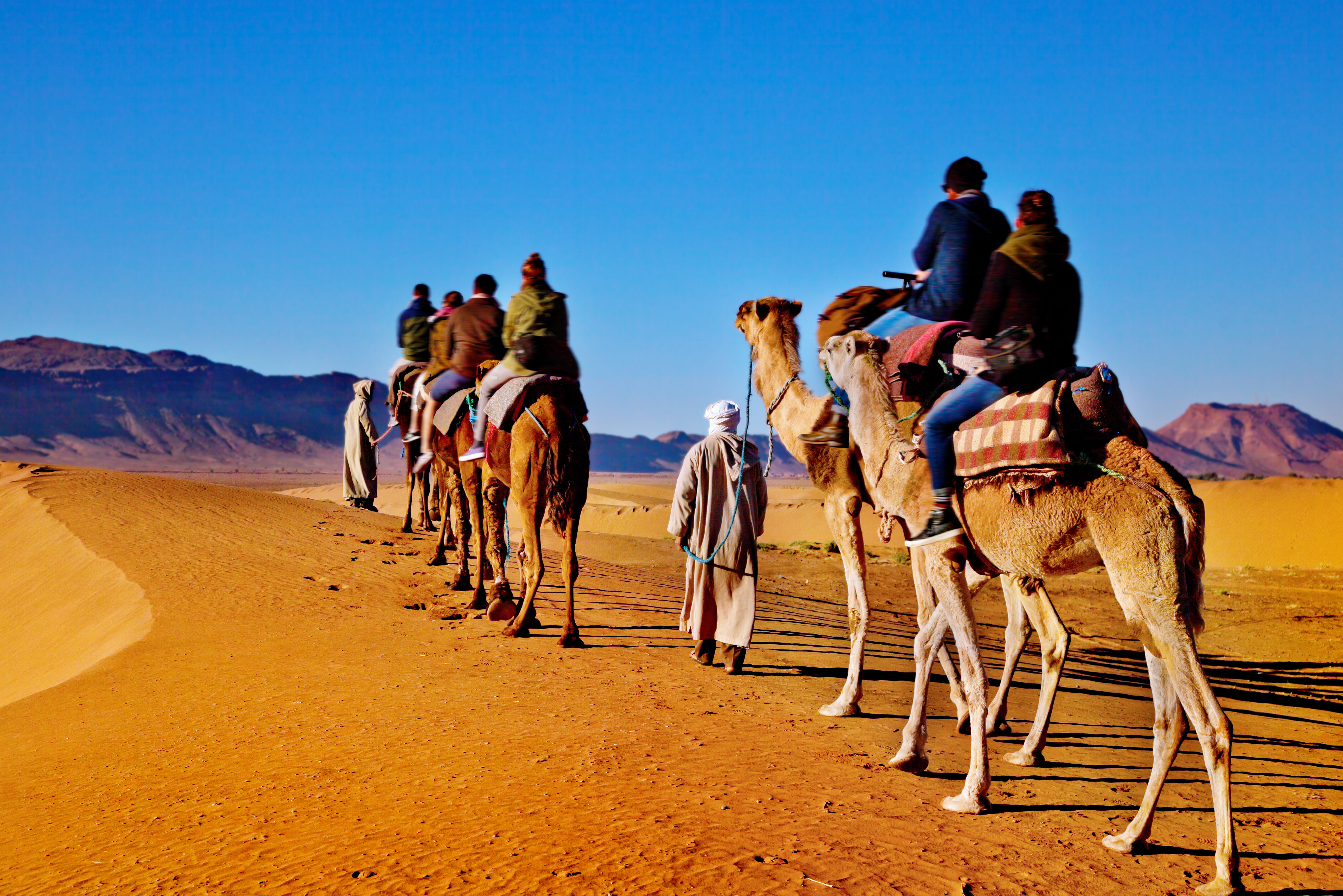 Kamelentocht in de Sahara van Marokko