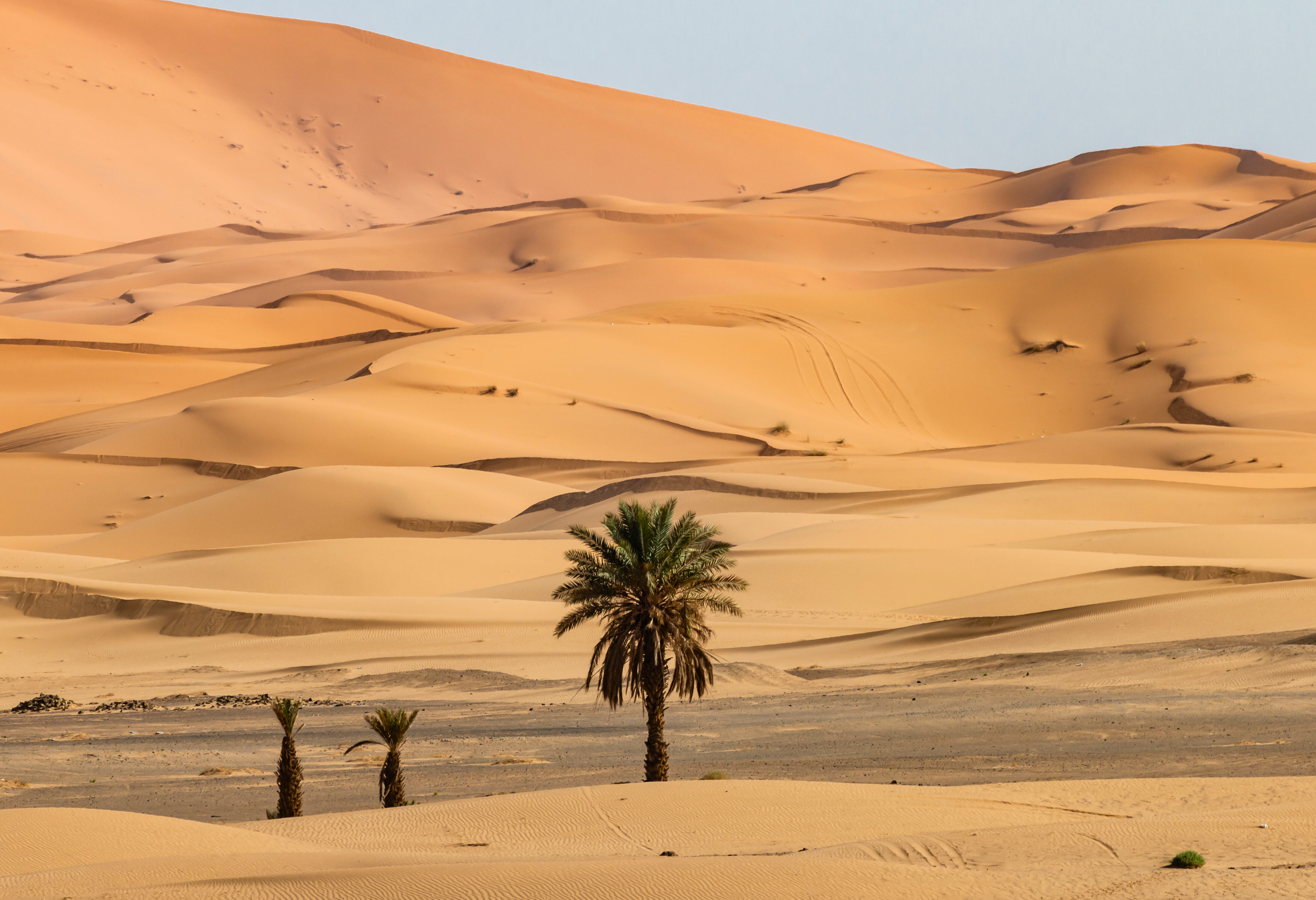 Merzouga woestijn, Marokko