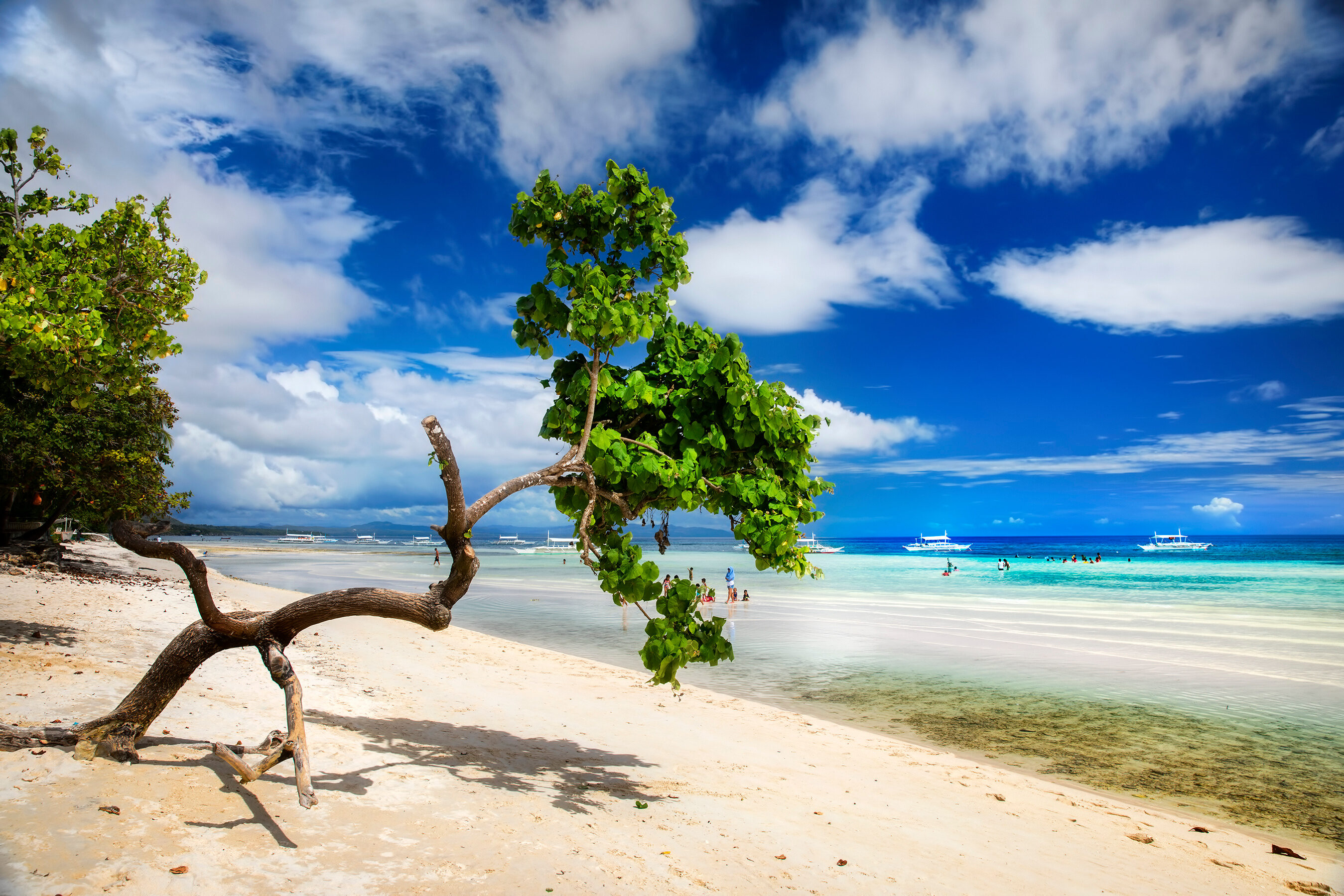Strand op Panglao Bohol
