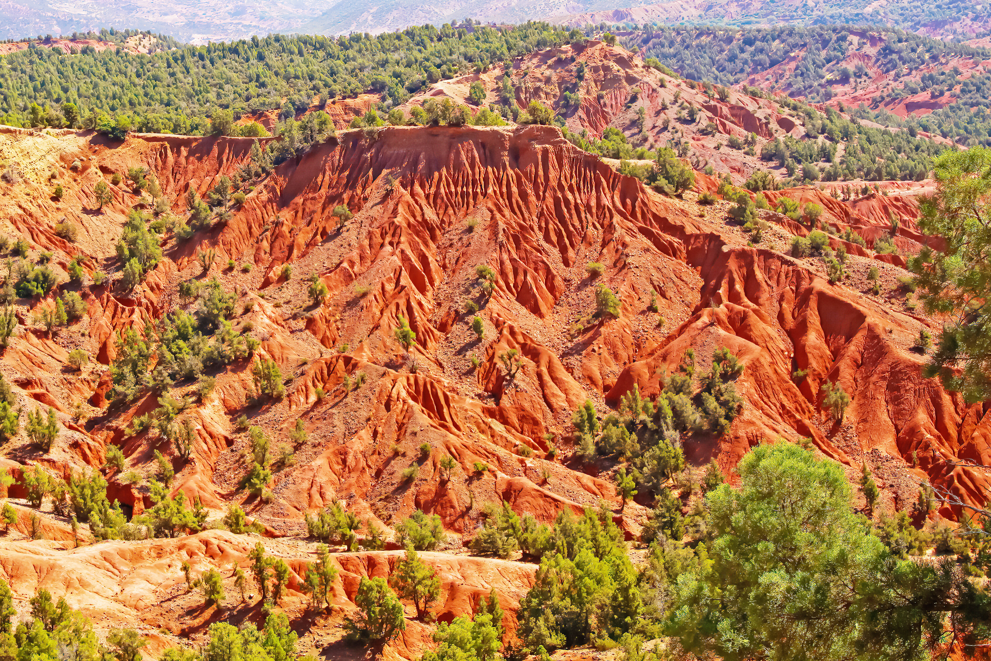 Marokko Ourika Vallei