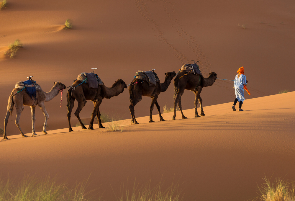De Koningssteden &amp; Sahara van Marokko