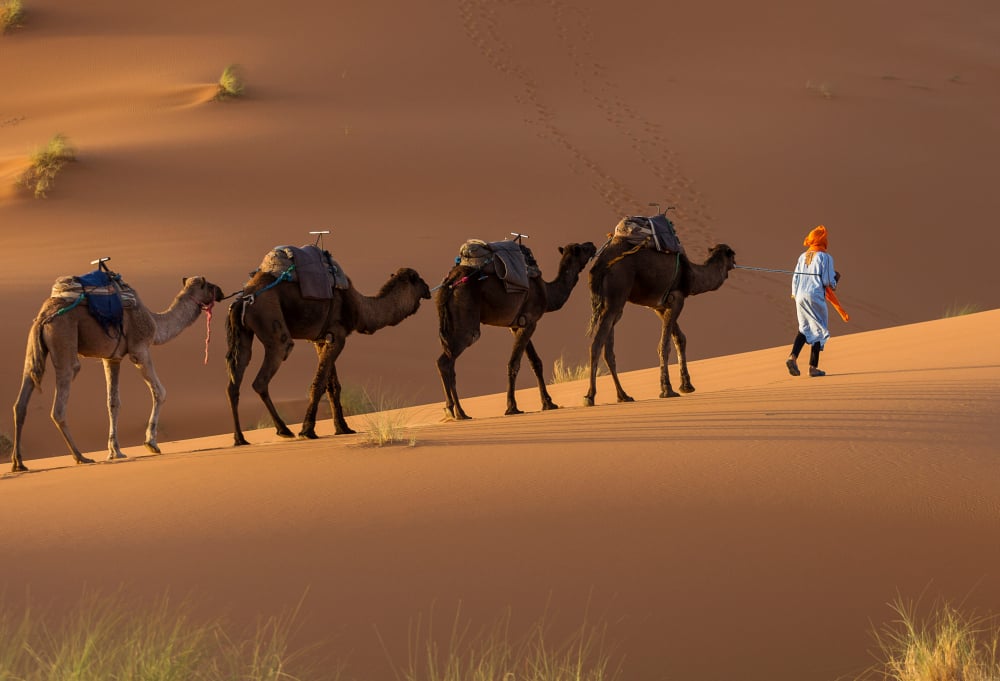 De Koningssteden Sahara van Marokko