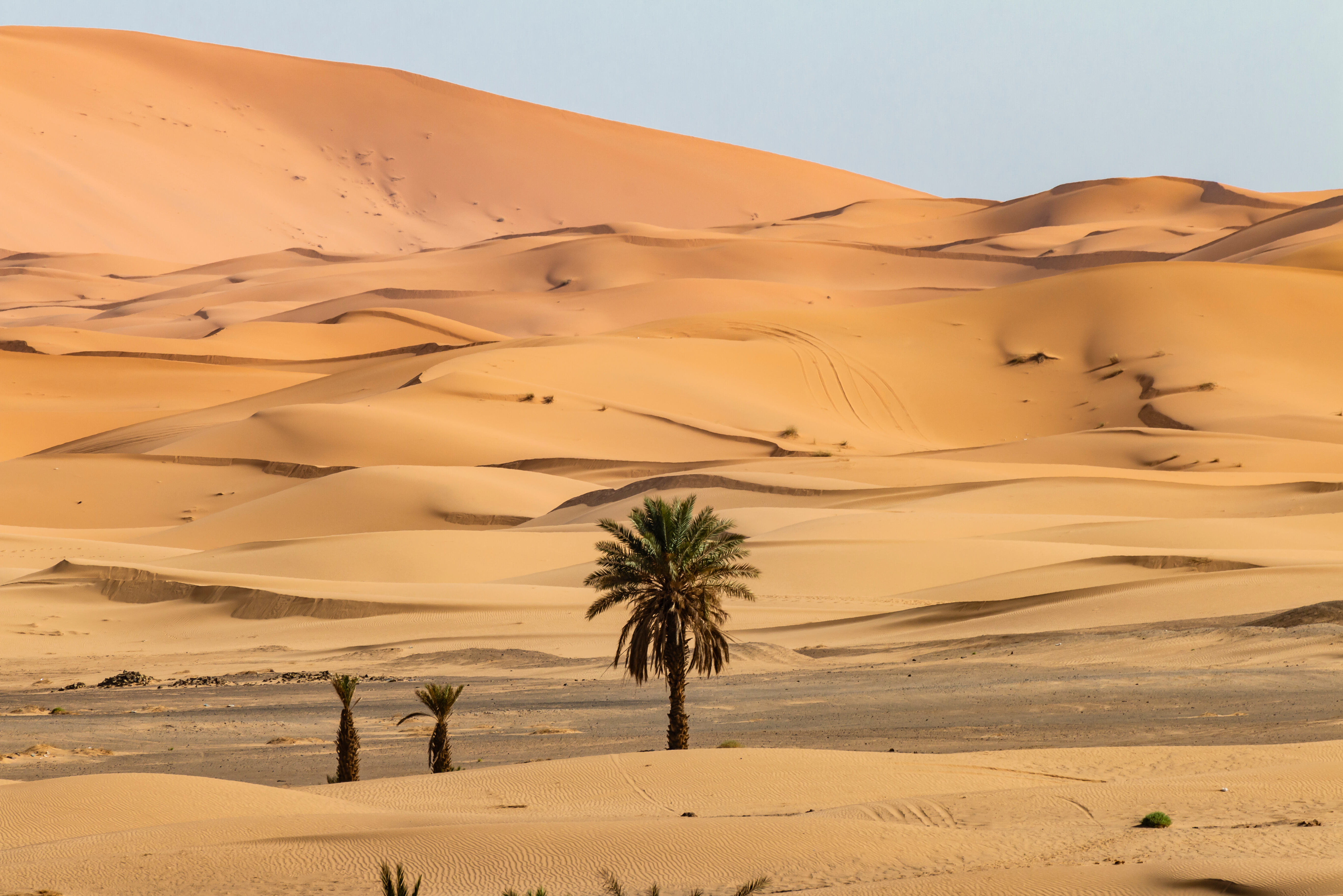 Merzouga, de woestijn in Marokko