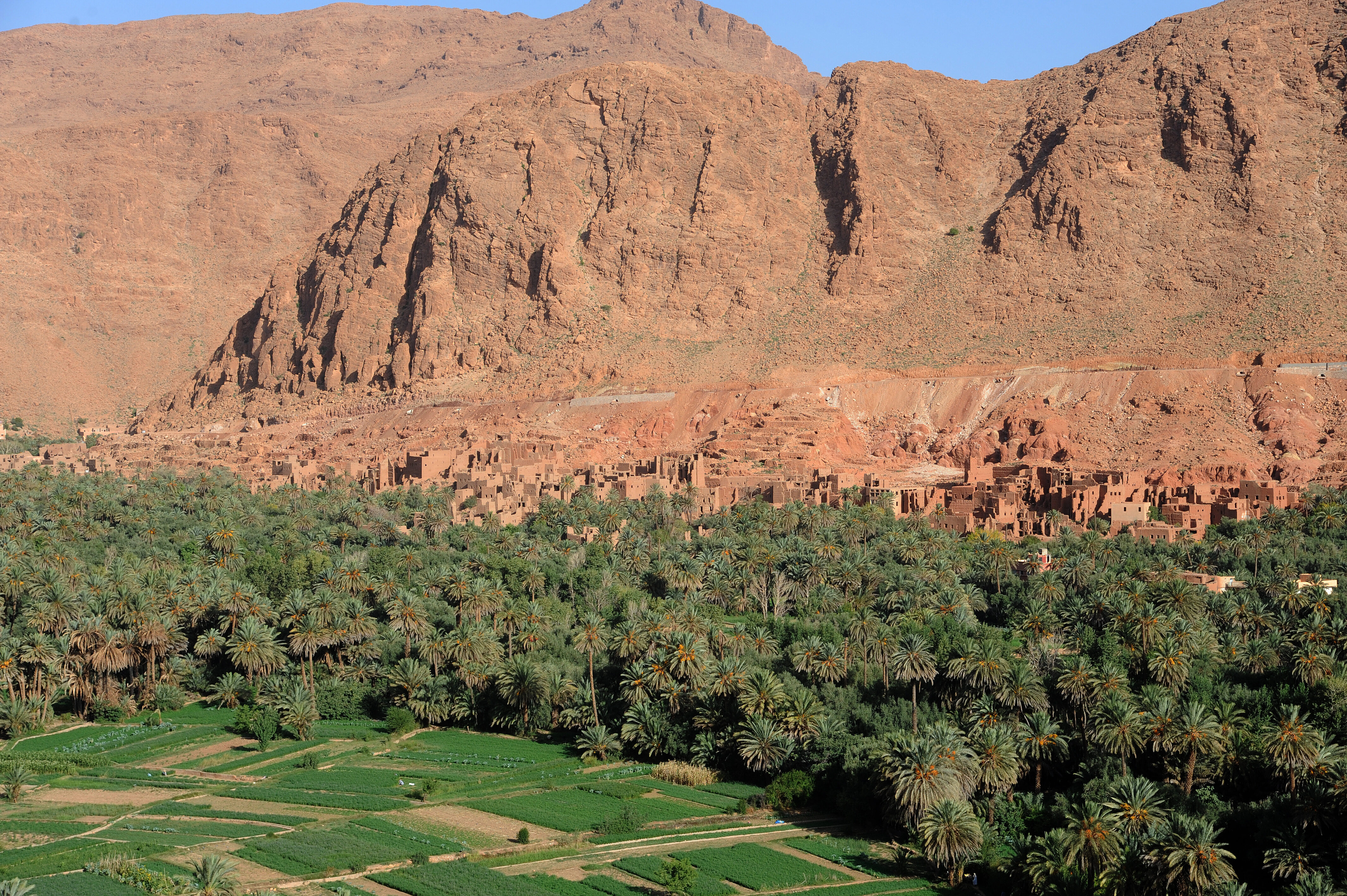 Todra Kloof Tinerhir Oase omgeving