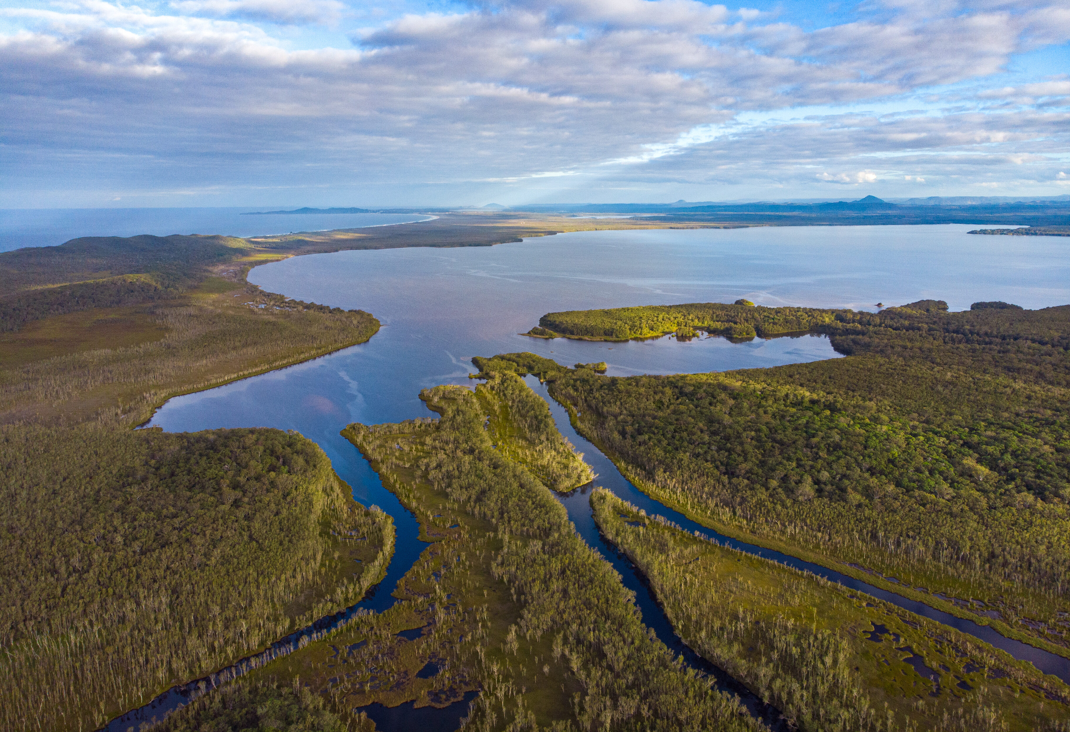 Noosa Everglades in Queensland in Australie