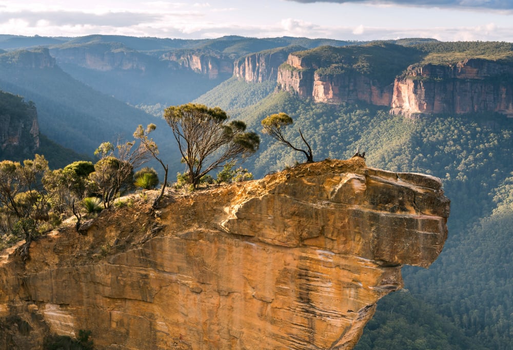 Kusten, Koraal en Regenwoud in Oost Australië Superior