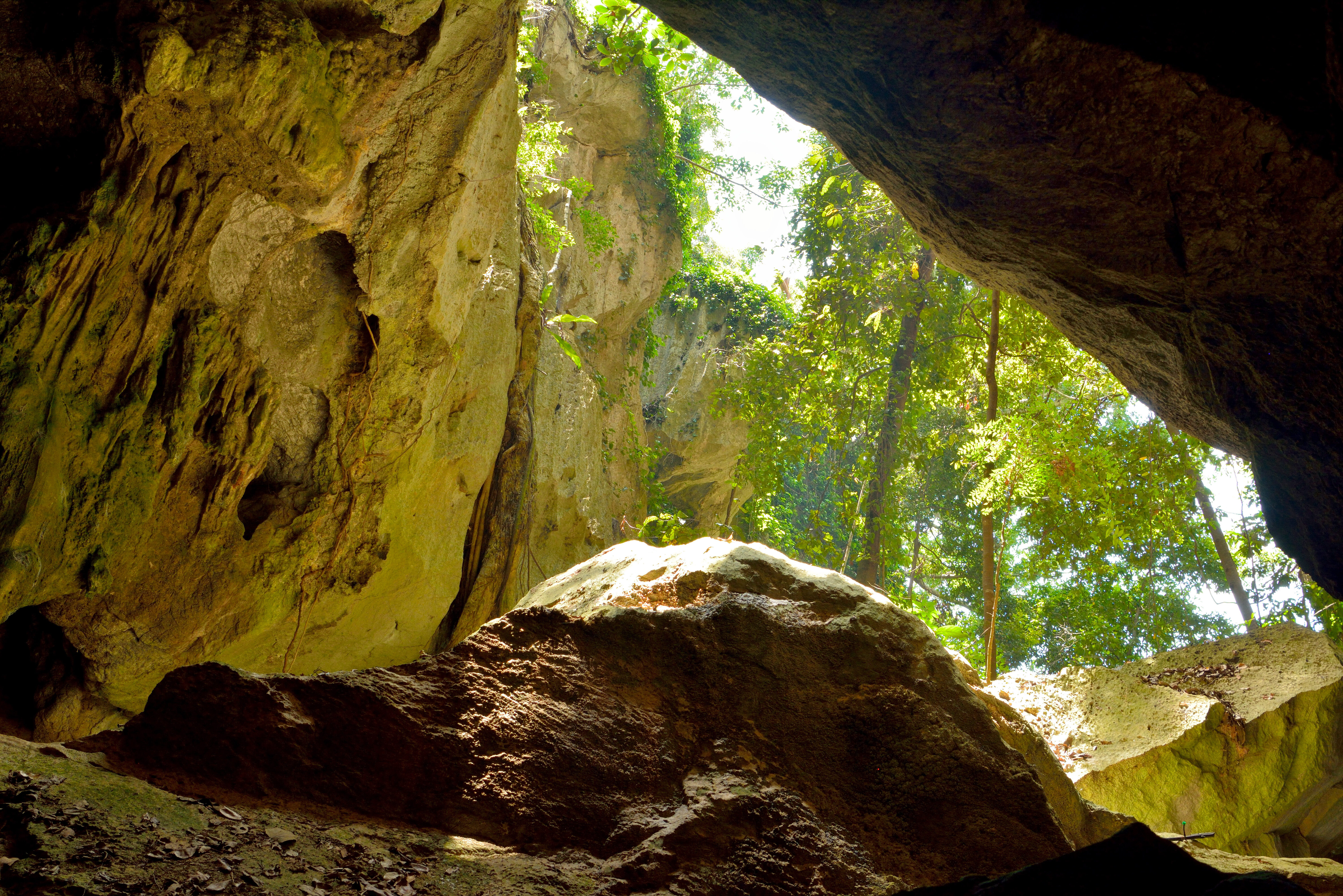 Capricorn Caves nabij Rockhampton in Australie