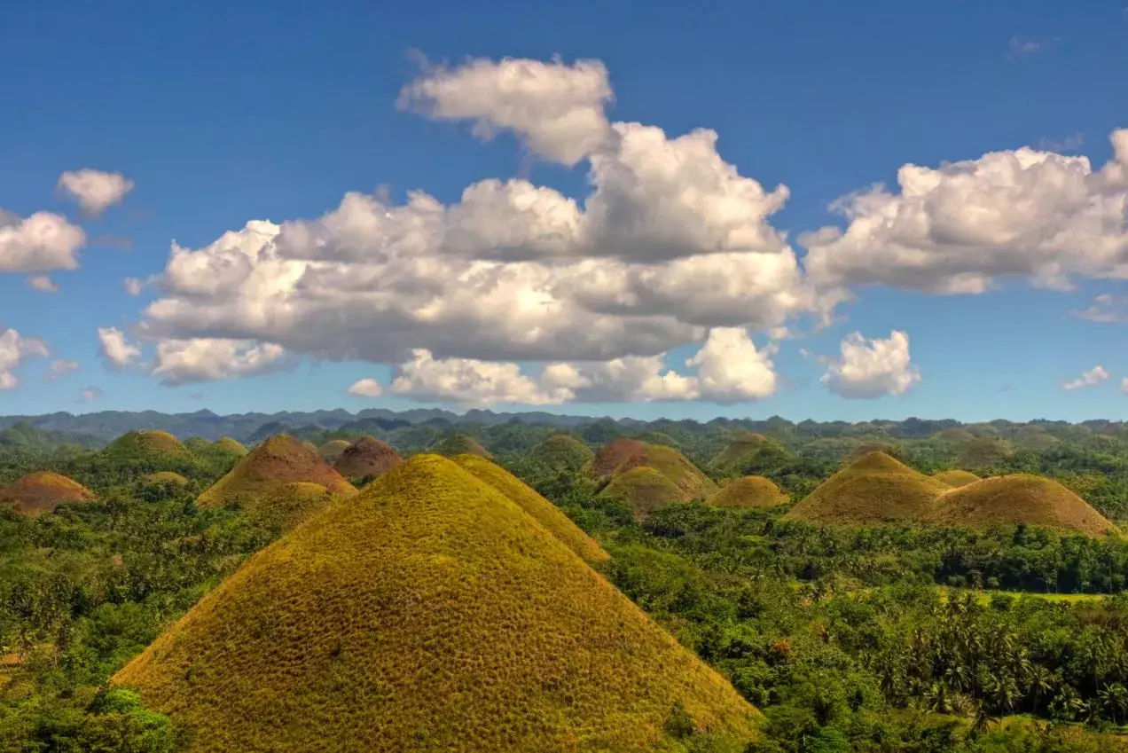 Chocolate Hills van Bohol