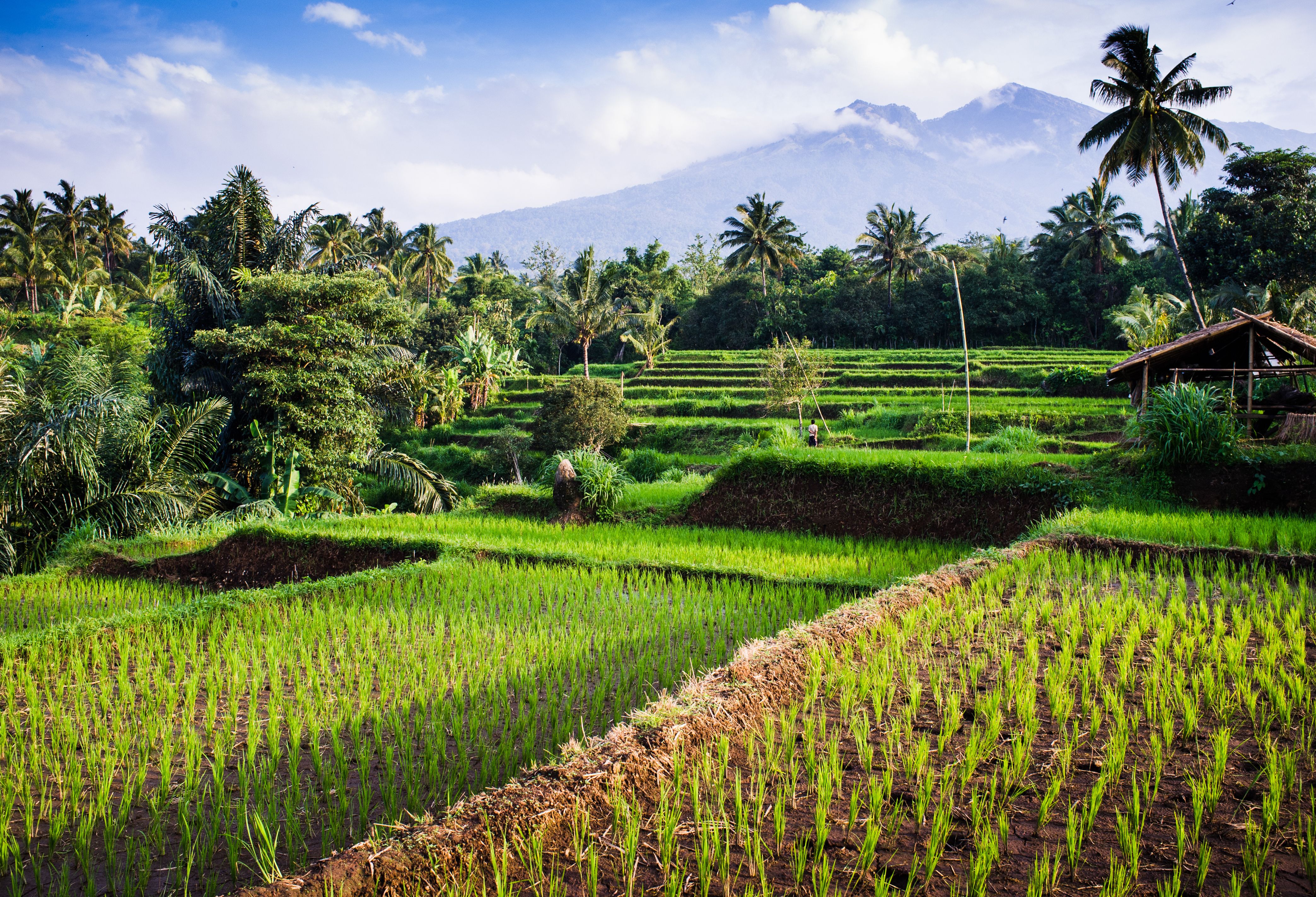 Landschap in de buurt van Mount Rinjani op Lombok