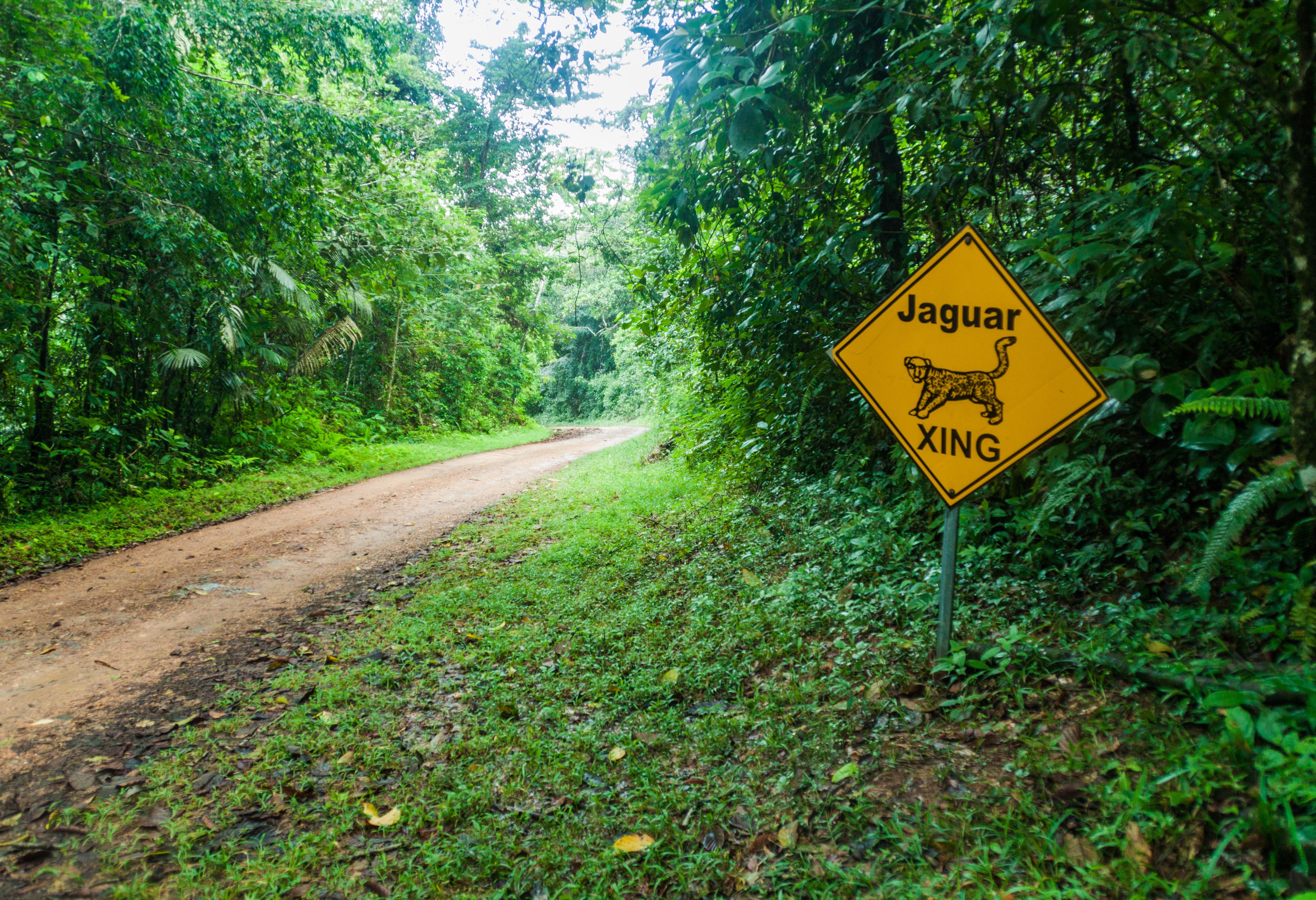 Weg naar  het Cockscomb Basin Wildlife SAnctuary